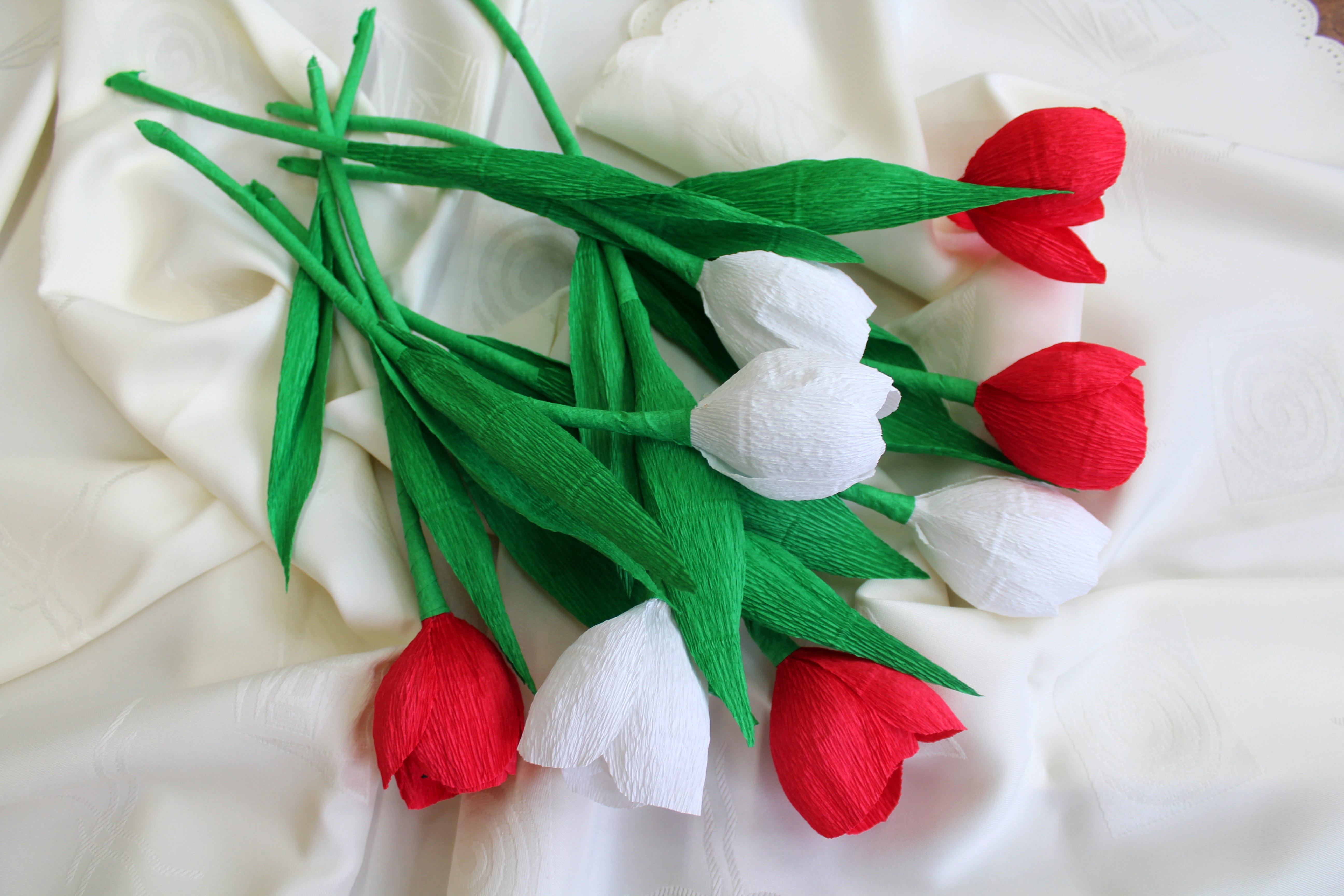 green color, flowers from crepe paper, decoration, plant, independence, leaf, national colors, homeland, independence day, 5K, dessert, red, nature, close-up, HD Wallpaper