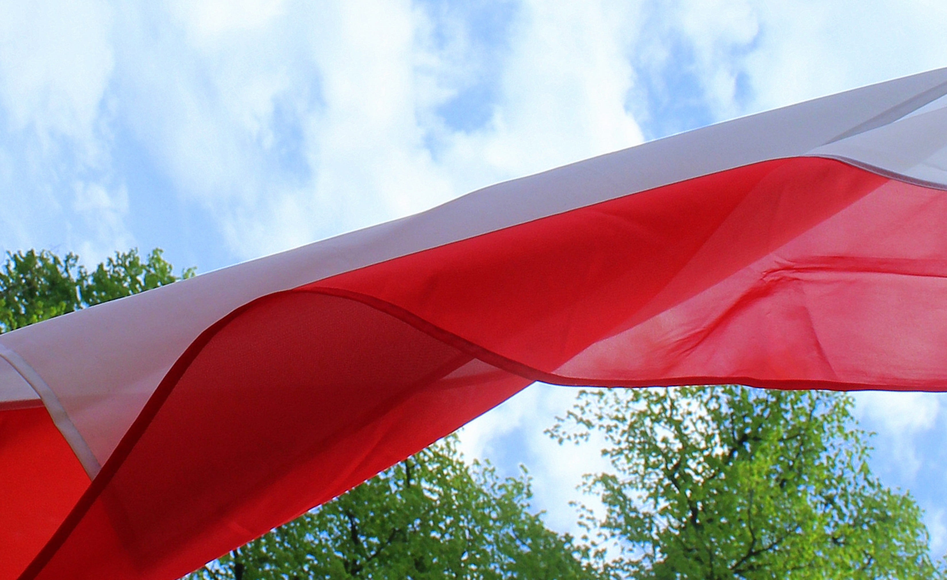 homeland, air vehicle, nationality, no people, patriotism, nature, polish flag, 2K, plant, national day, mode of transportation, blue, tree, red, textile, HD Wallpaper