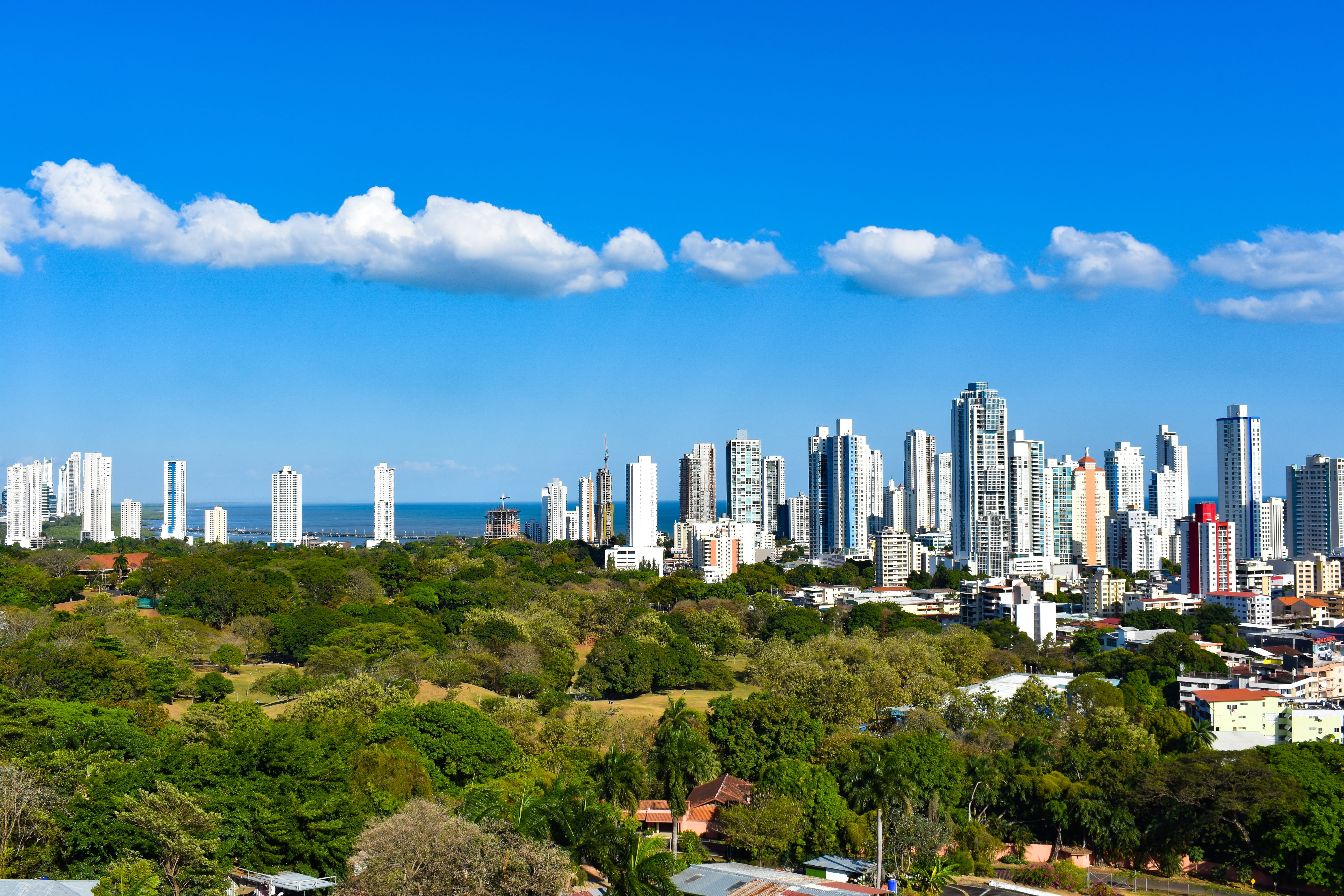 landscape, ocean, tree, tall - high, architecture, panama, plant, built structure, building exterior, skyscraper, 5K, building, tower, no people, city, HD Wallpaper