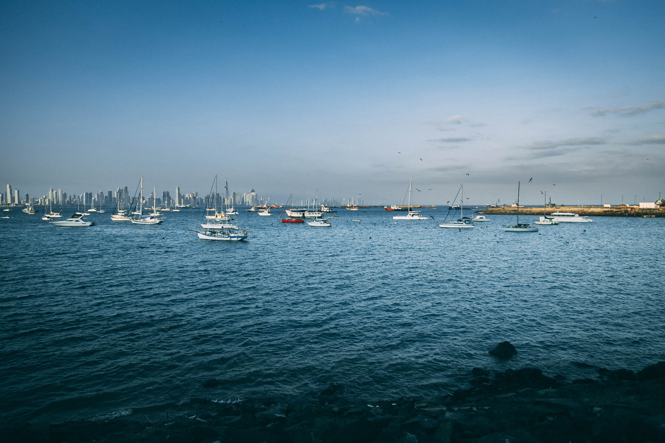 harbor, marina, bay, panama city, sea, sailboat, blue, panama, yachting, water, tranquility, day, luxury, moored, sky, scenics - nature, nautical vessel, HD Wallpaper