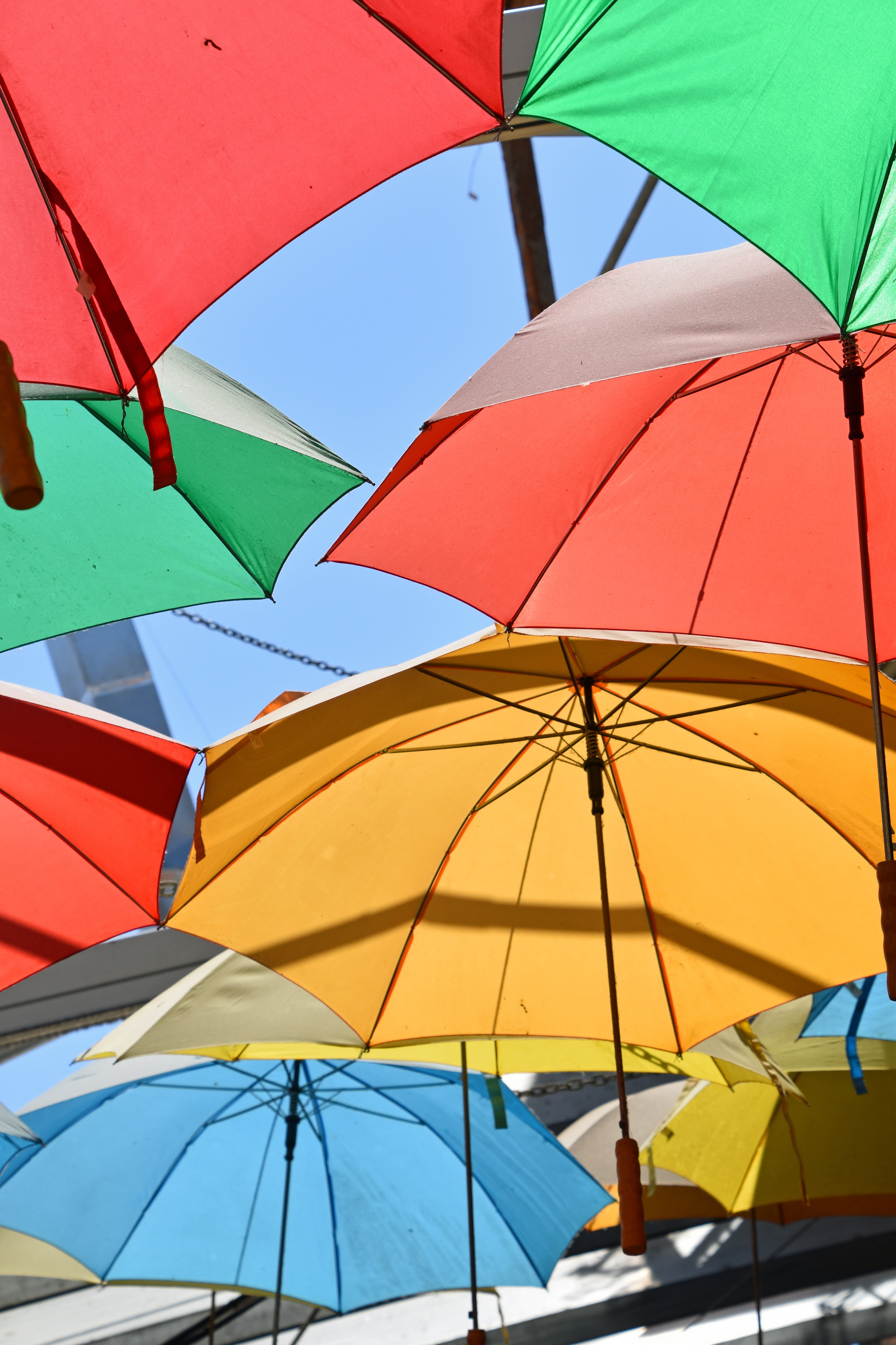 no people, security, attractive, pattern, zen, shade, young, sunlight, woman, green, color, umbrella, looking, parasol, weather, 5K, multi colour, lesbian, Phone HD Wallpaper