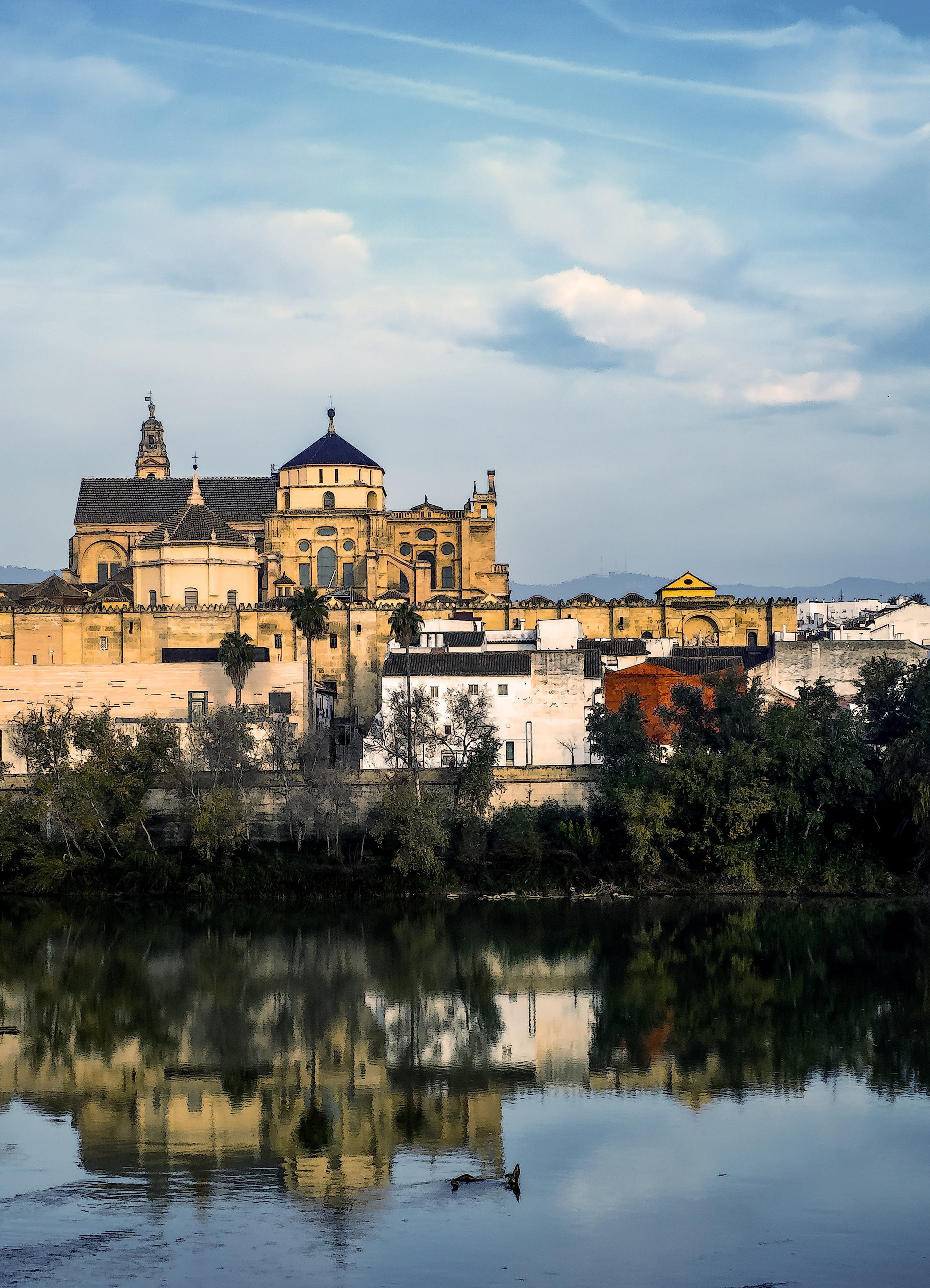 cloud - sky, nature, sky, building exterior, castle, Spain, travel destinations, city, Ribera, mosque, duck, waterfront, tree, Cordoba, landscape, summer, Phone HD Wallpaper