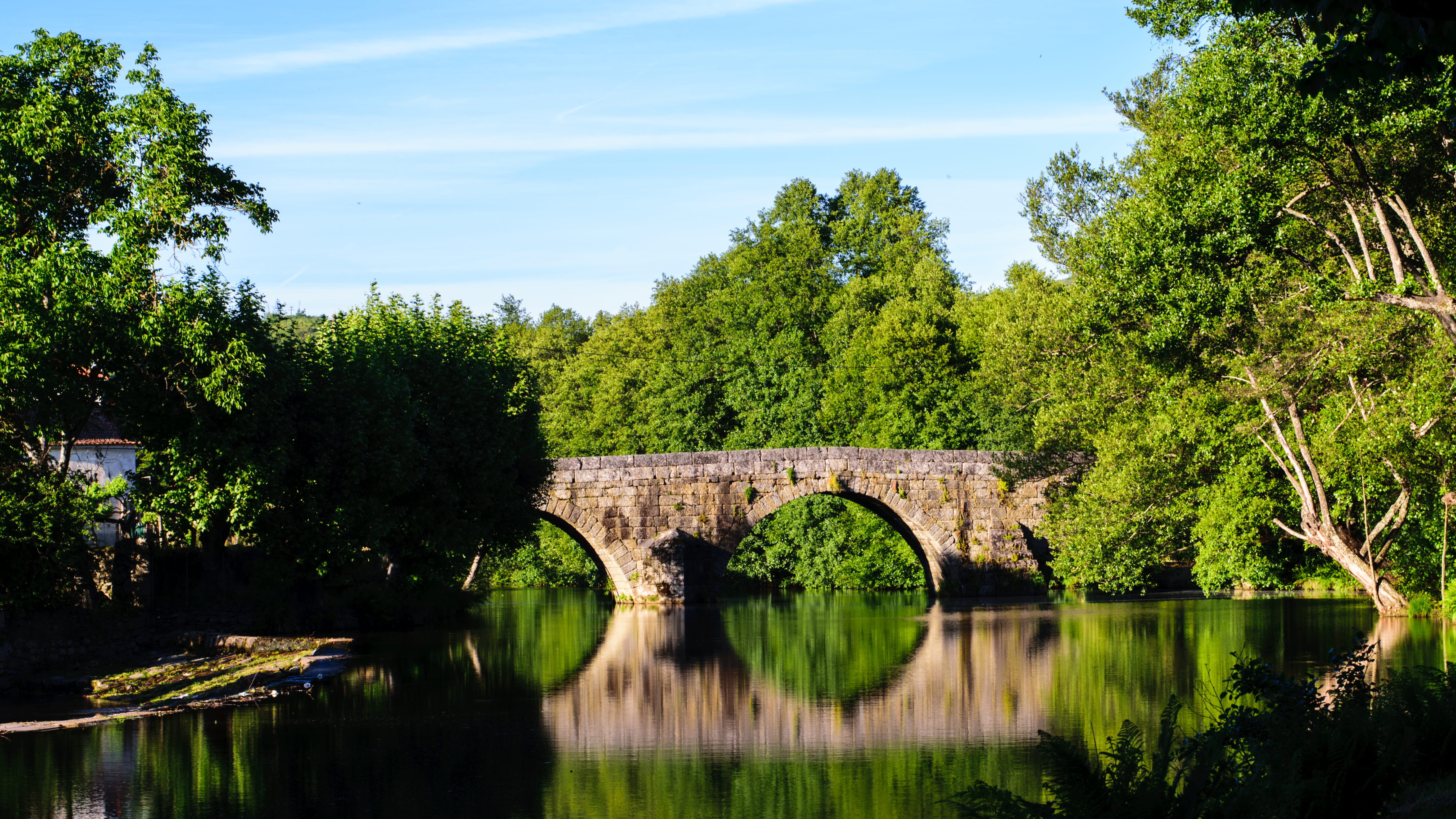 trees, bridge, portugal, peace, arch bridge, 5K, built structure, connection, sandomil, roman bridge, river, outdoors, nature, growth, tree, bridge - man made structure, HD Wallpaper