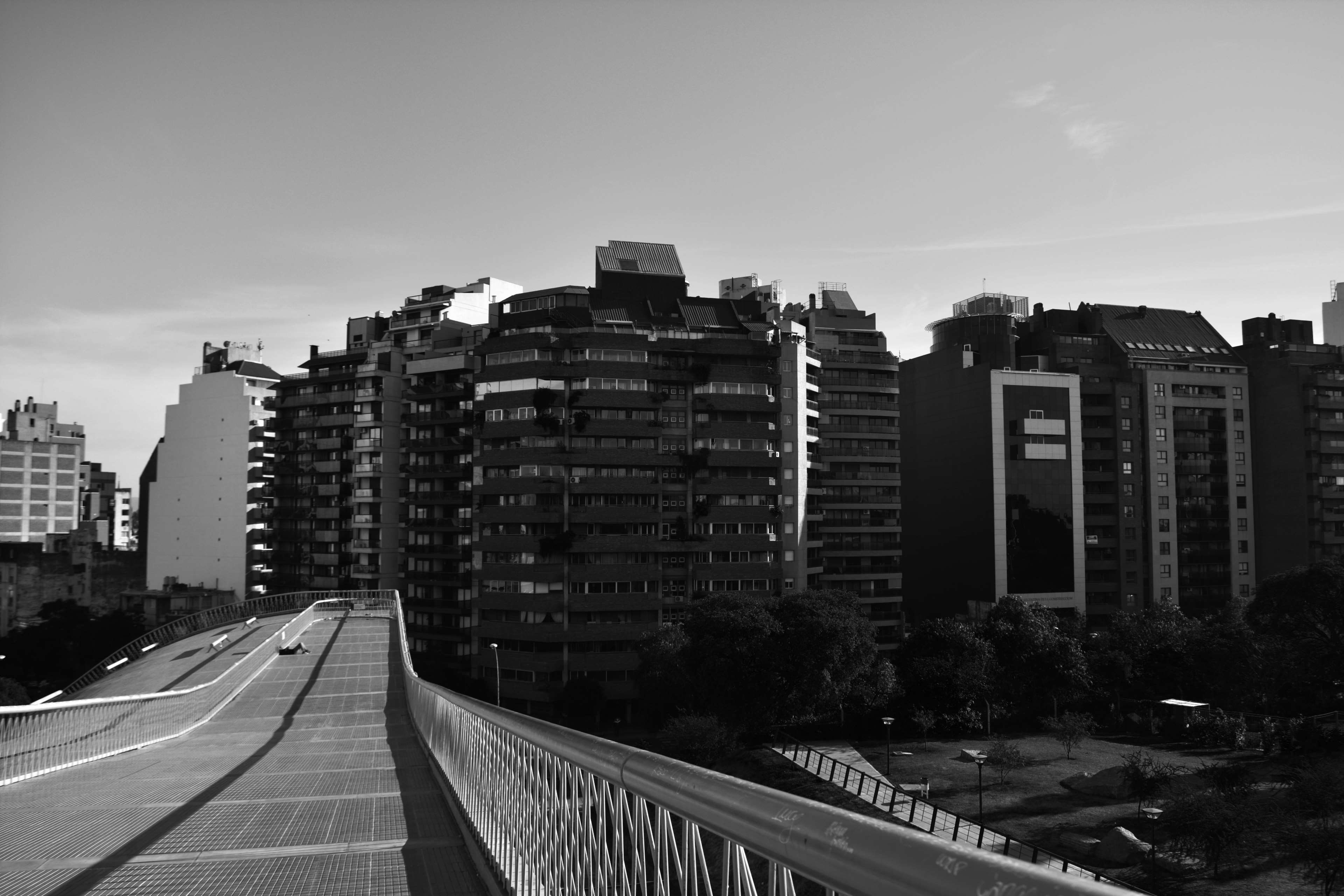 tree, cityscape, office building exterior, black and white, cordoba, building, transportation, city, nature, architecture, outdoors, 4K, skyscraper, building exterior, HD Wallpaper