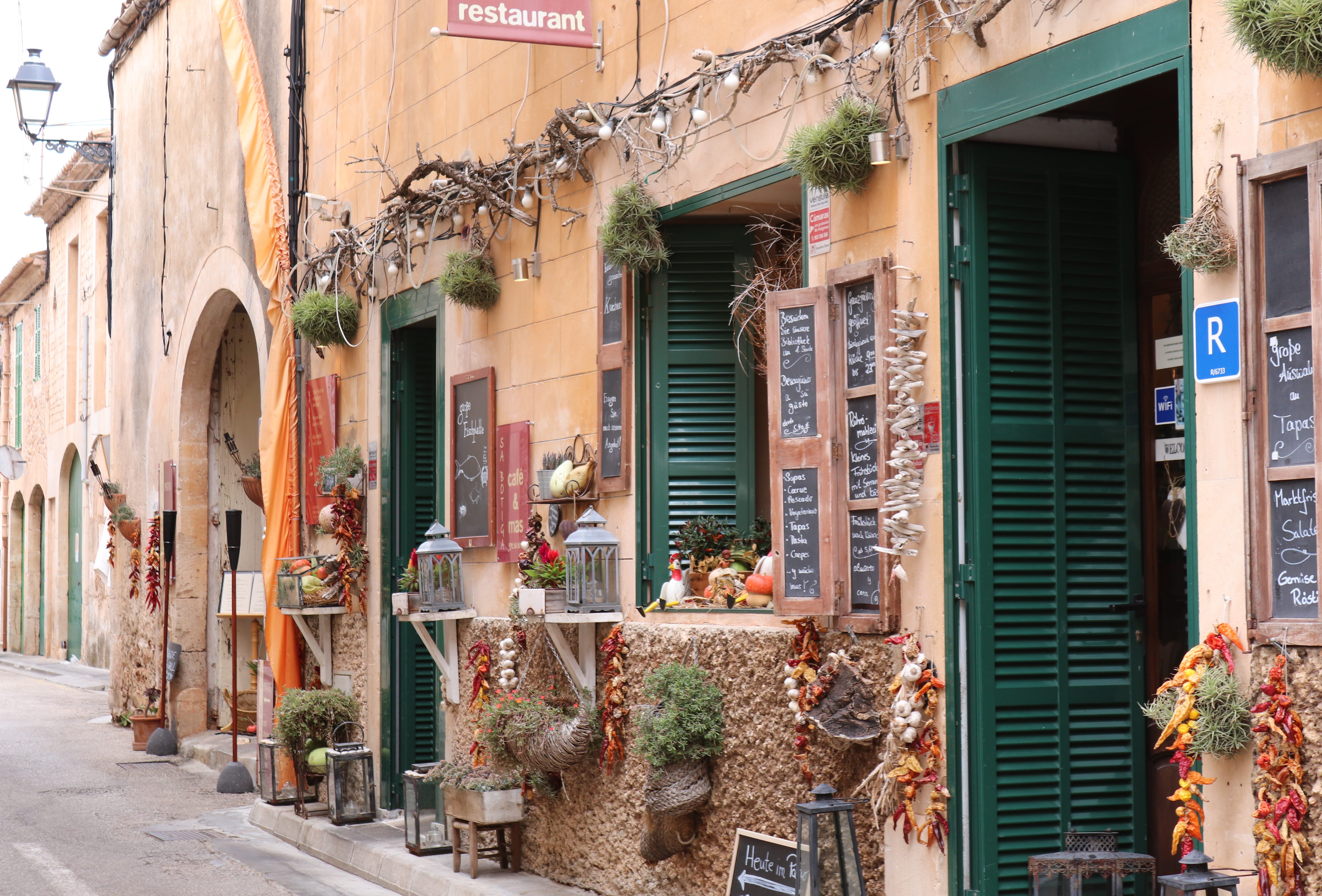 shops, sunlight, day, mediterranean, restaurant, village, growth, alley, spain, house, door, residential district, plant, entrance, potted plant, maritime, HD Wallpaper