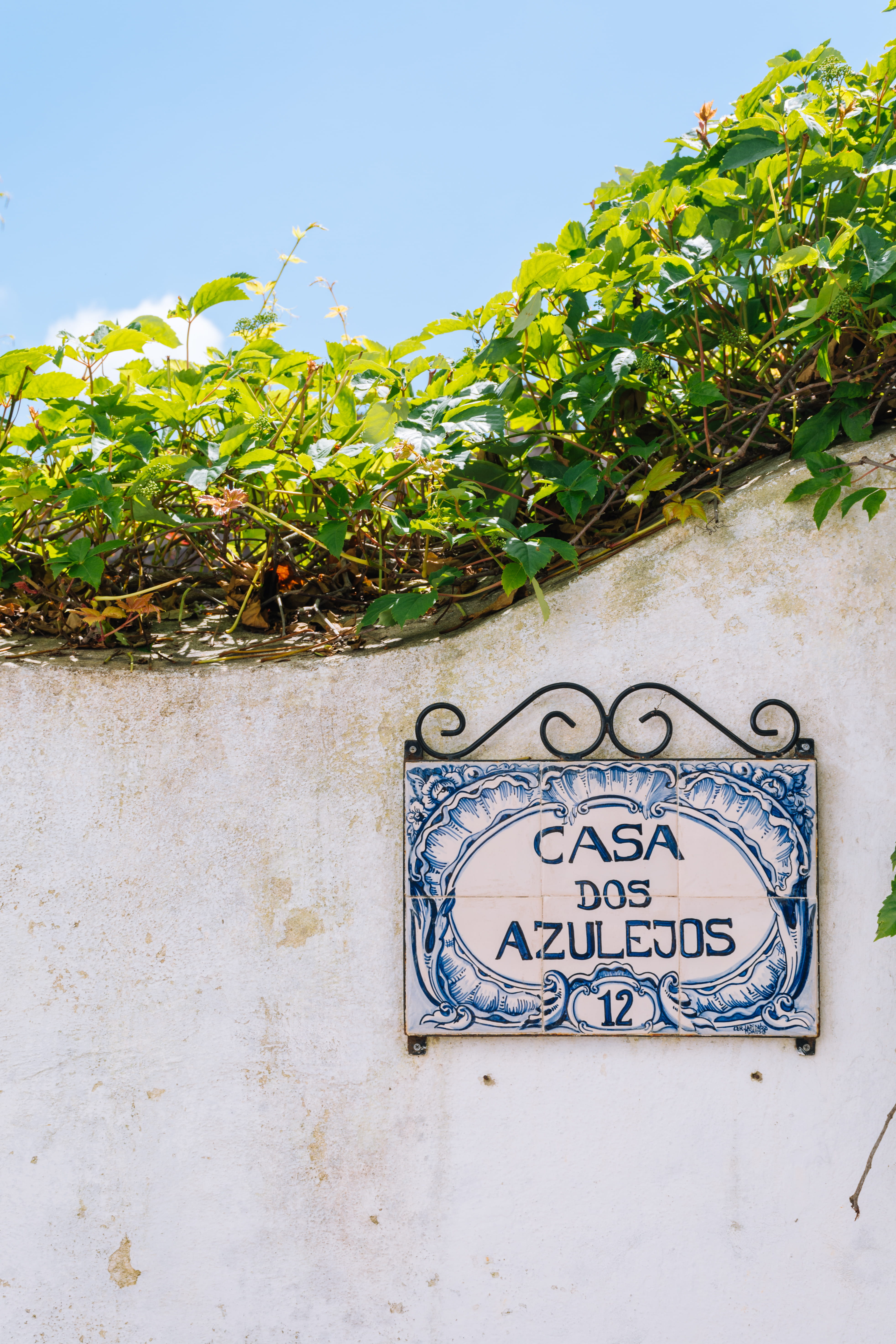 leaves, message, wall, text, potted plant, growth, vine, no people, portugal, signage, plant, vegetation, architecture, sign, outdoors, house, leaf, western script, Phone HD Wallpaper