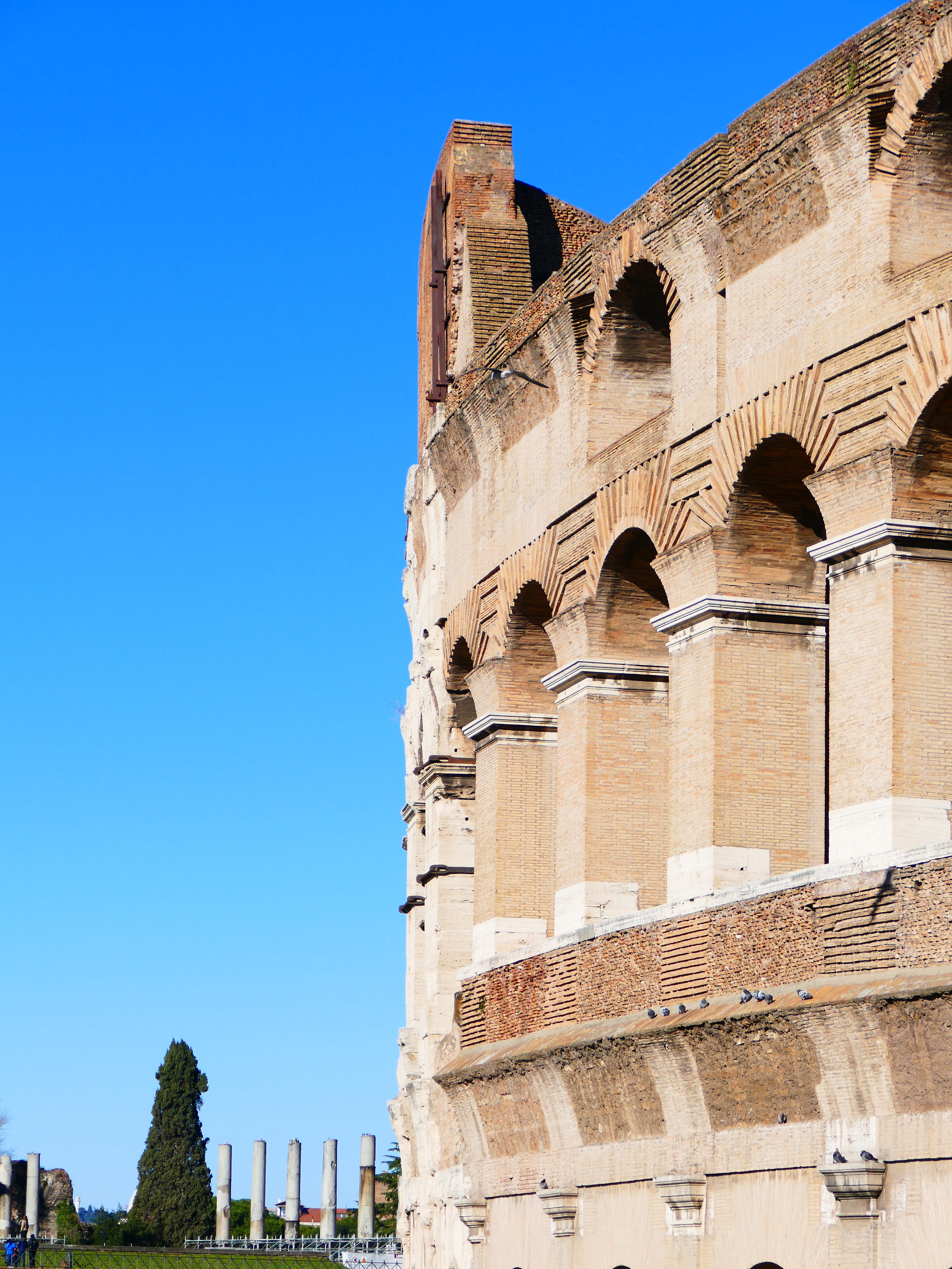 building, travel, 4K, monument, forum, amphitheater, architectural column, ancient civilization, ruined, built structure, gladiatorial games, copy space, Phone HD Wallpaper