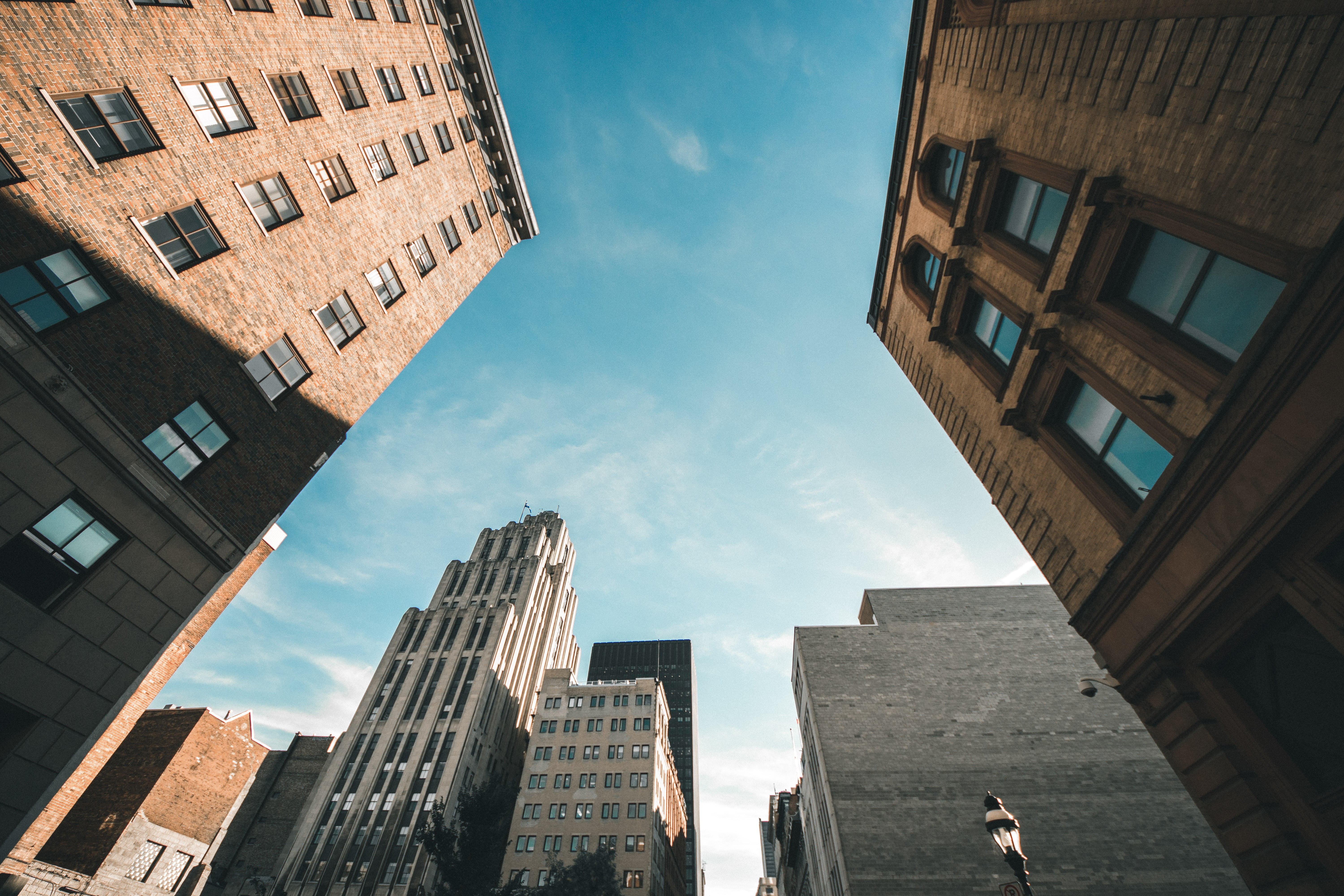 city, financial district, nature, building, brown, sunlight, residential district, cityscape, day, sky, house, city life, wooden, directly below, tall - high, HD Wallpaper