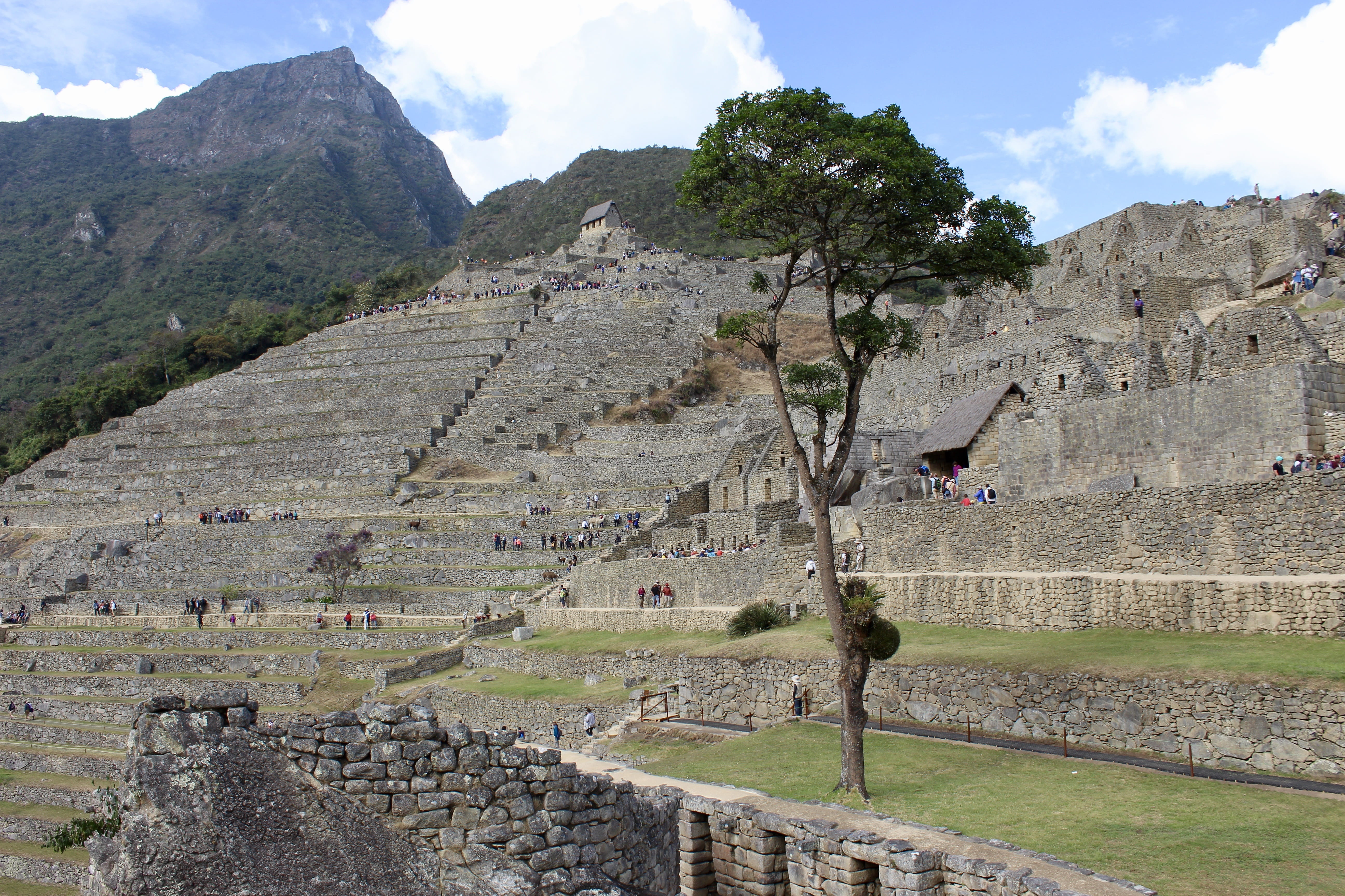 archaeology, travel, picchu, tourism, stone, near, formation, history, world, old ruin, unesco, mountain, tree, cloud - sky, no people, day, travel destinations, HD Wallpaper
