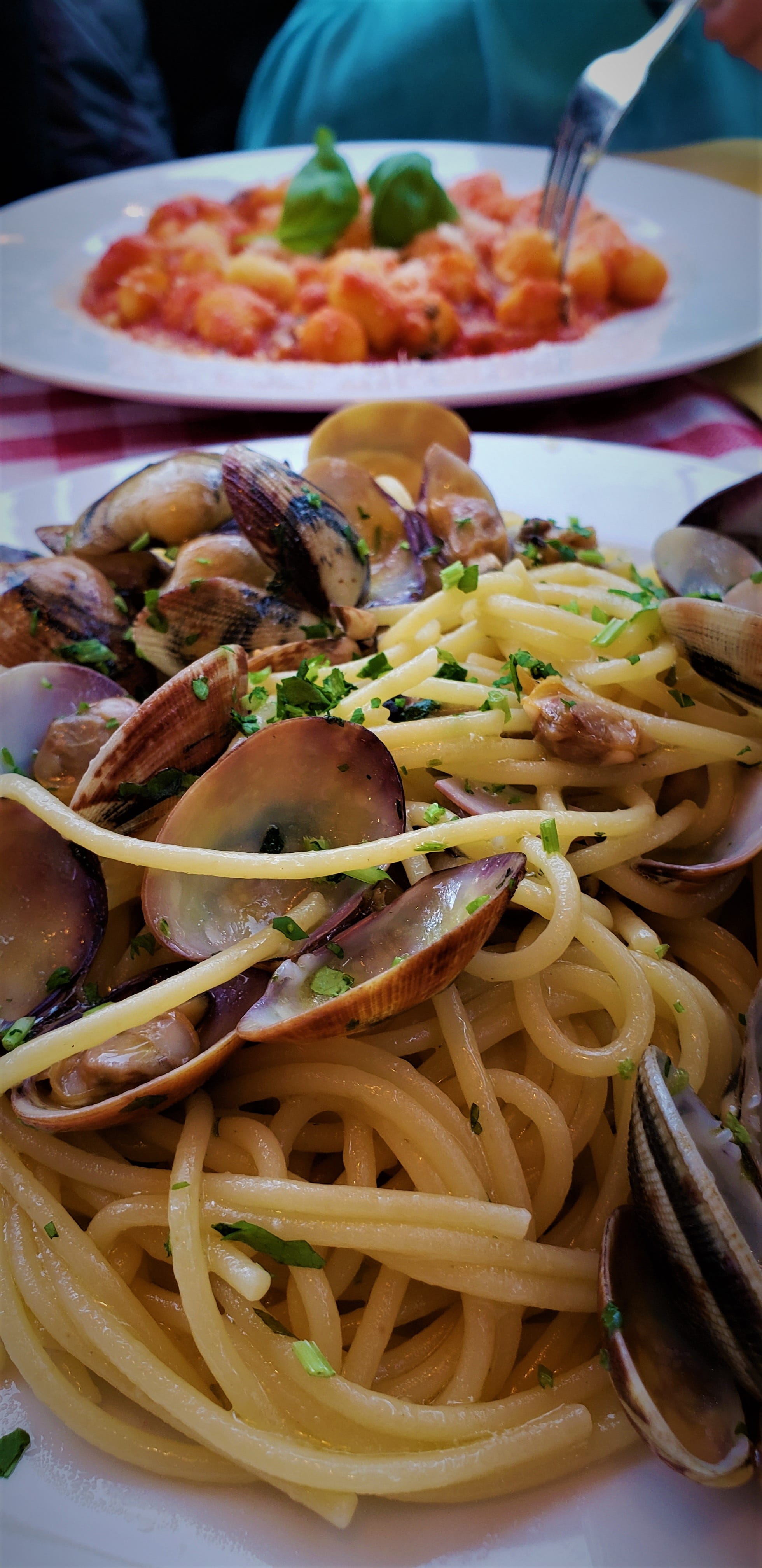 italian, still life, no people, meal, temptation, vegetable, clams, roma, table, close-up, italia, wellbeing, food and drink, healthy eating, freshness, Phone HD Wallpaper