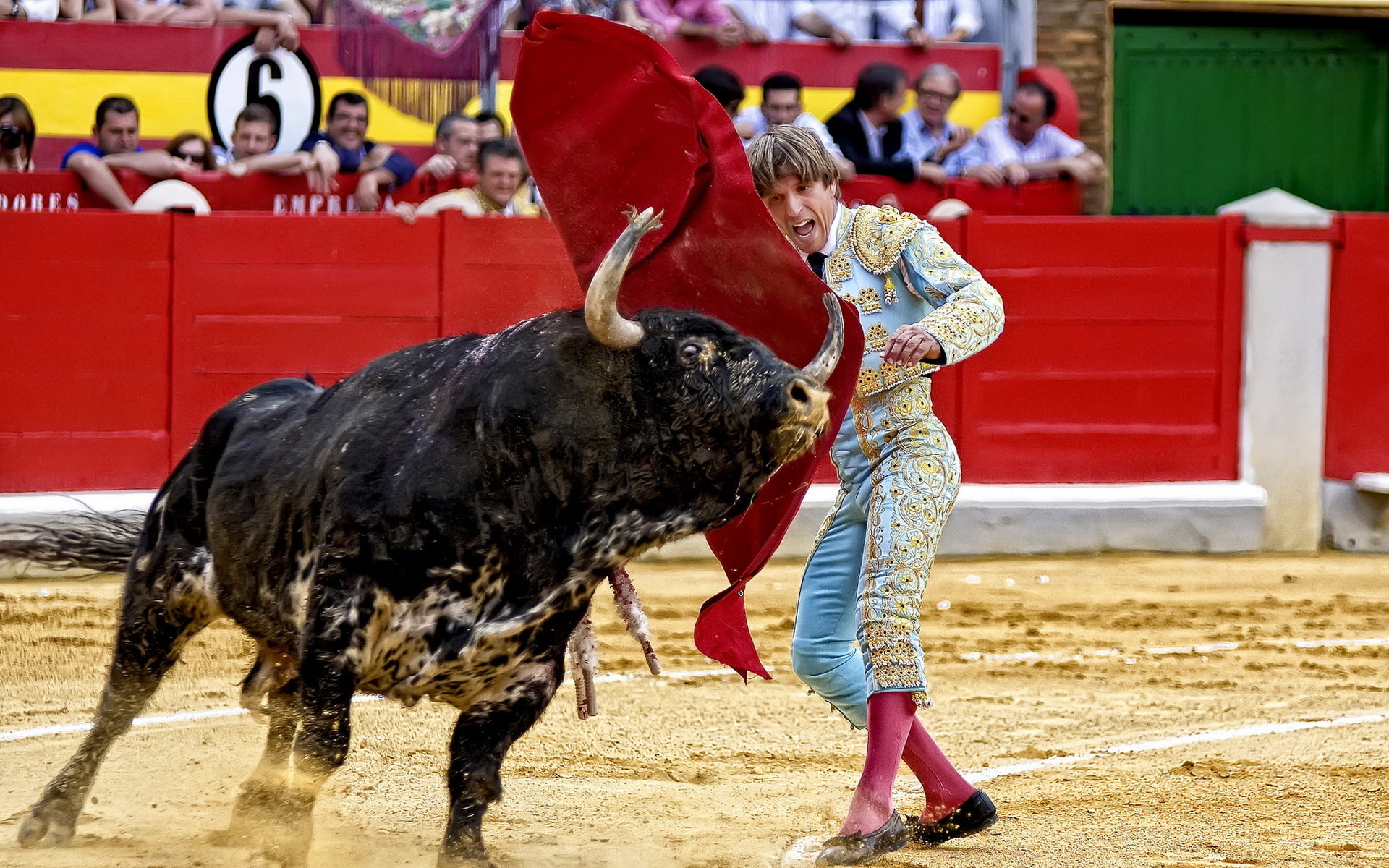 toreador, costume, 1080P, bull, black, matador, Spain, white, HD Wallpaper