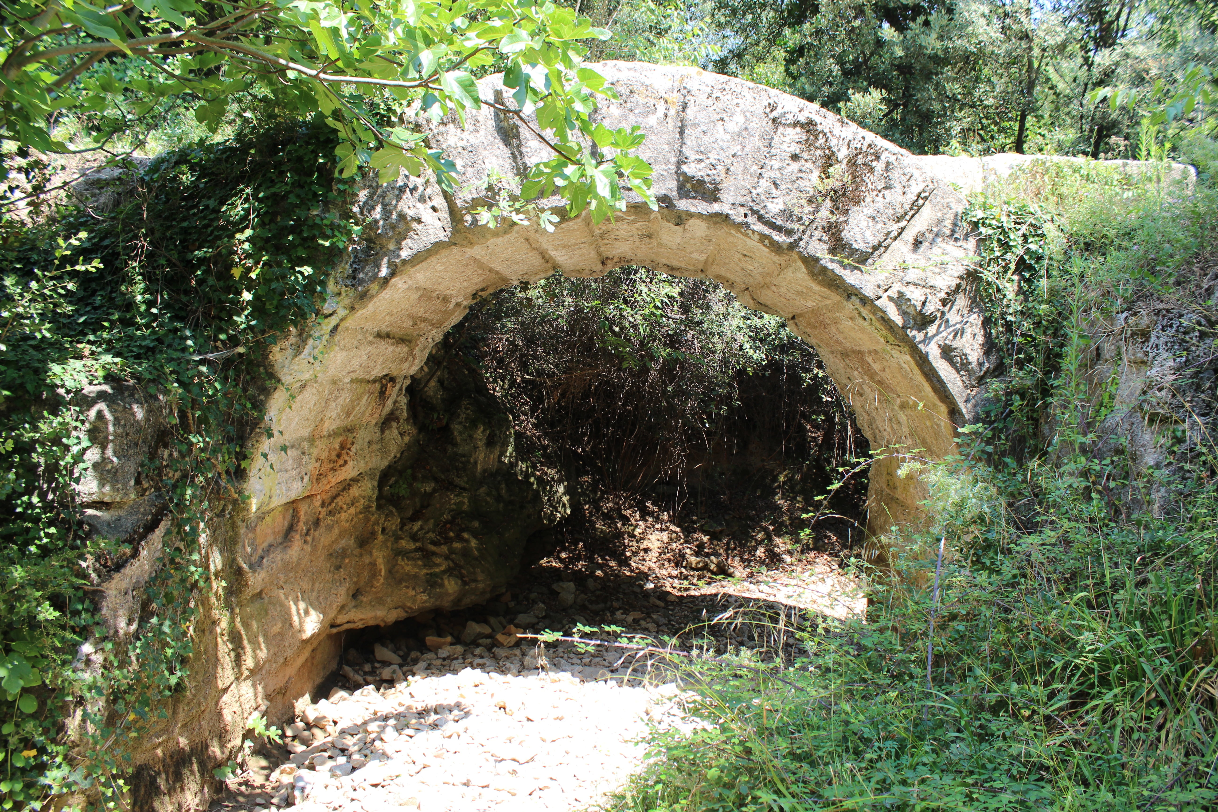 tunnel, built structure, vestige, 5K, beauty in nature, forest, bridge, arch bridge, plant, green color, nature, tree, tranquility, arch, no people, arched, HD Wallpaper