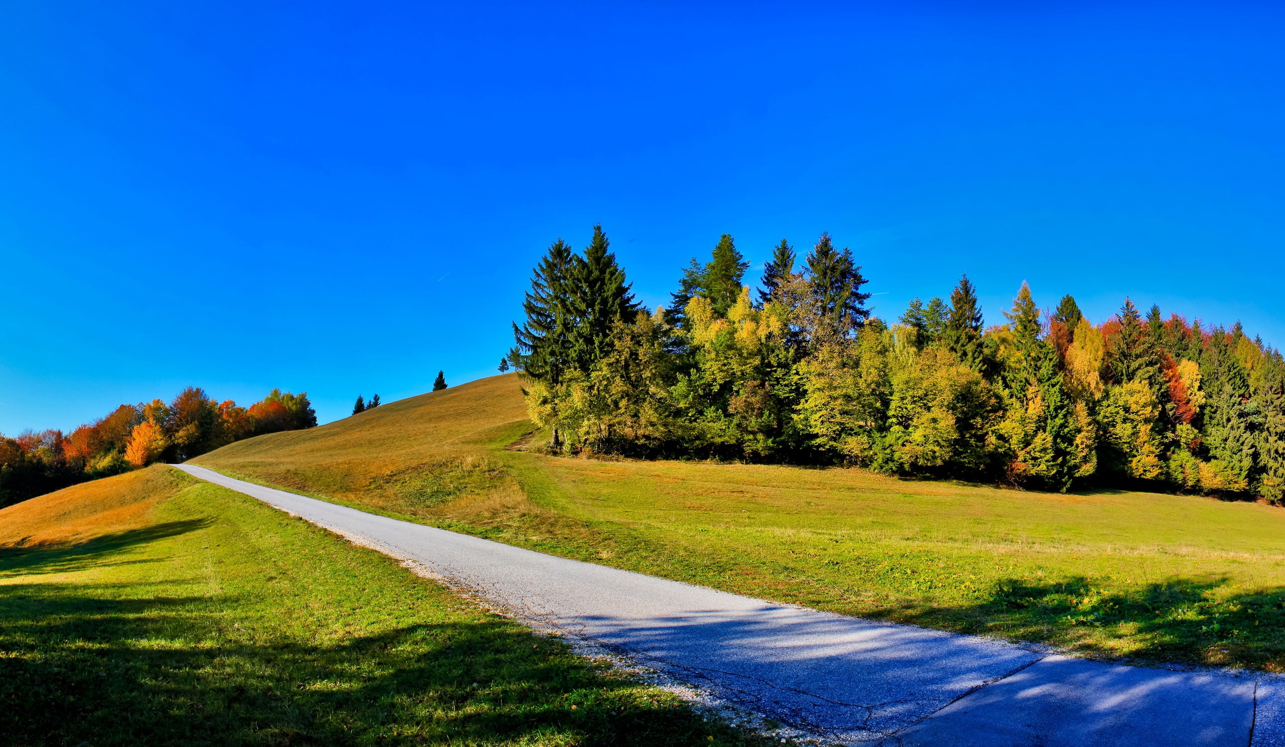 meadow, cloud - Sky, outdoors, green, trees, idyllic, 2K, woodland, yellow, sunny, environment, sun, europe, forest, season, line, slope, summer, sunlight, HD Wallpaper