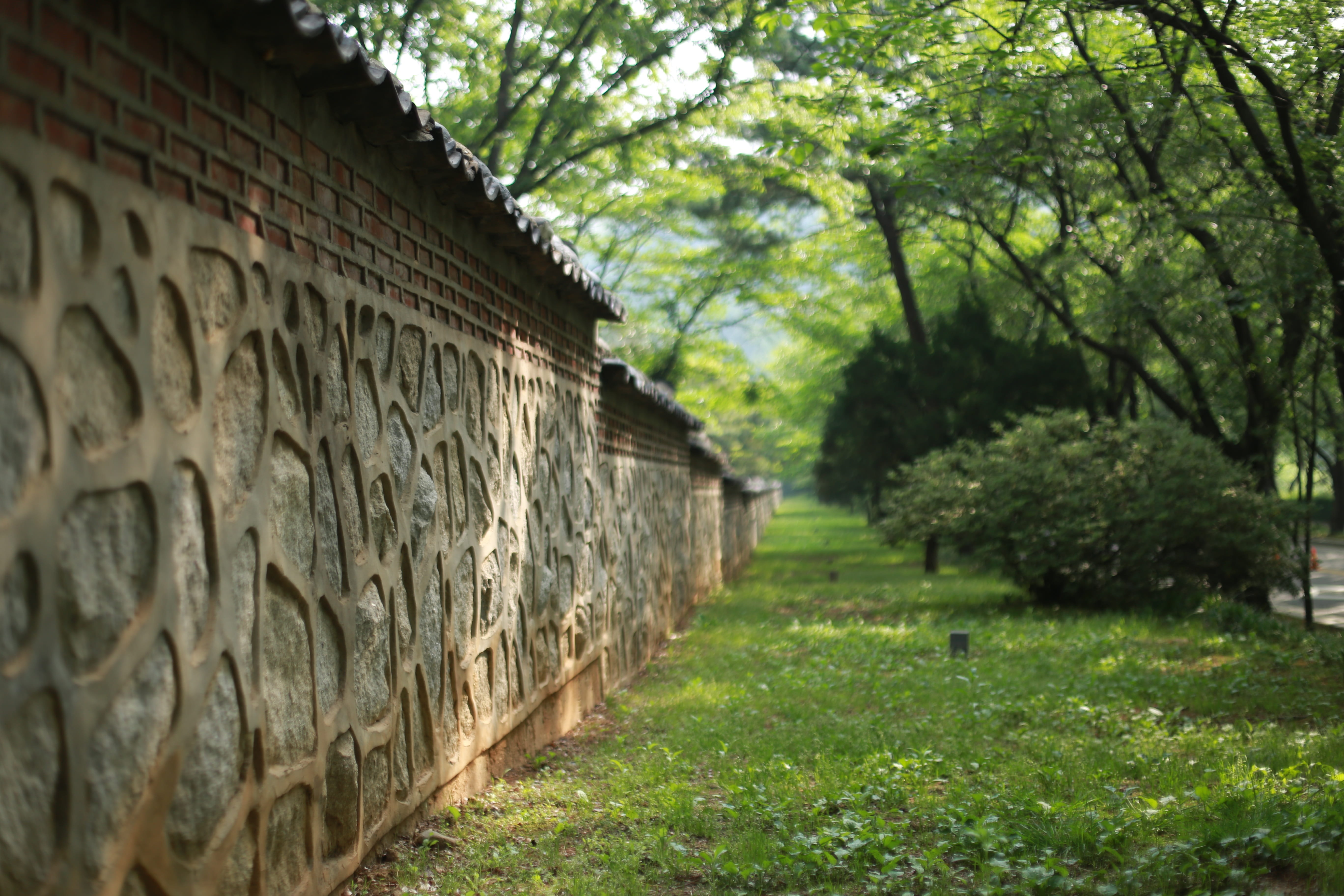 selective focus, traditional, architecture, built structure, plant, nature, abstract, 5K, wild, wall - building feature, background, heritage, no people, HD Wallpaper
