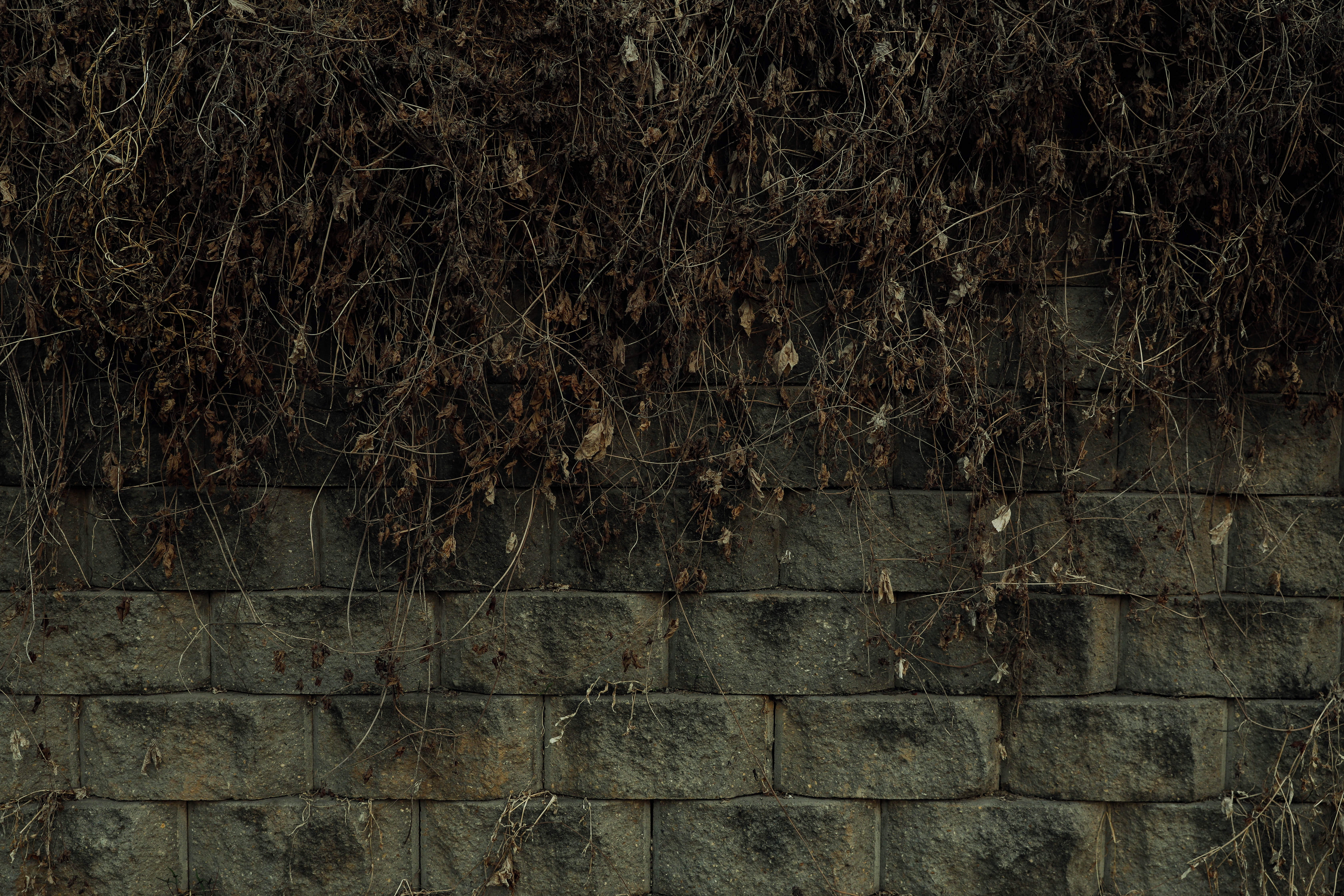 outdoors, day, damme, wall, protection, plant, stone wall, no people, plants, block, autumn, nature, built structure, fence, tree, brick, backgrounds, metal, HD Wallpaper
