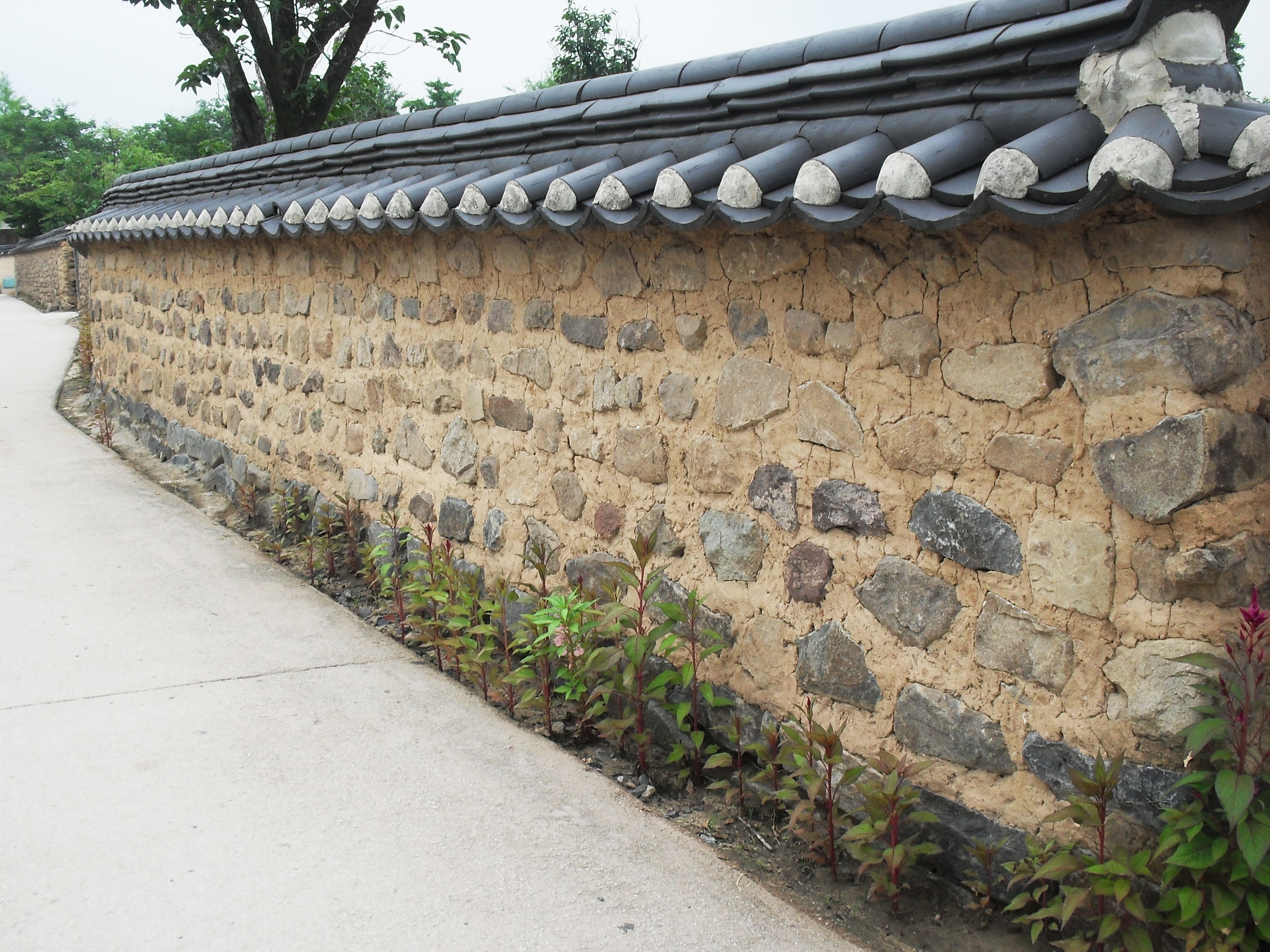 wall, traditional building, ancient, the past, tree, korean traditional, concrete, traditional, pattern, nature, day, plant, old, stone wall, wall - building feature, HD Wallpaper