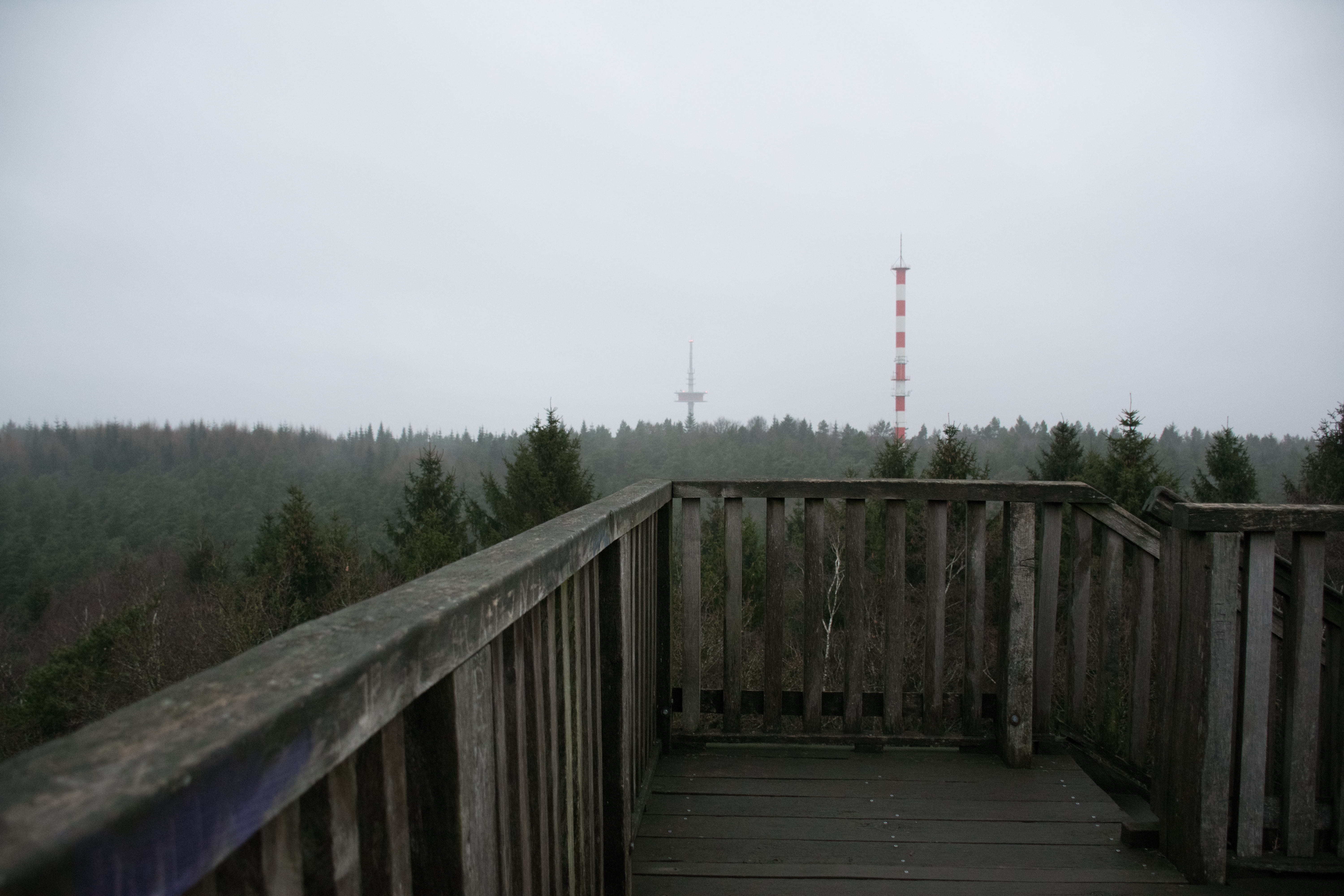 5K, no people, building exterior, communication, industry, railing, forest, tower, travel destinations, technology, germany, architecture, day, pollution, HD Wallpaper