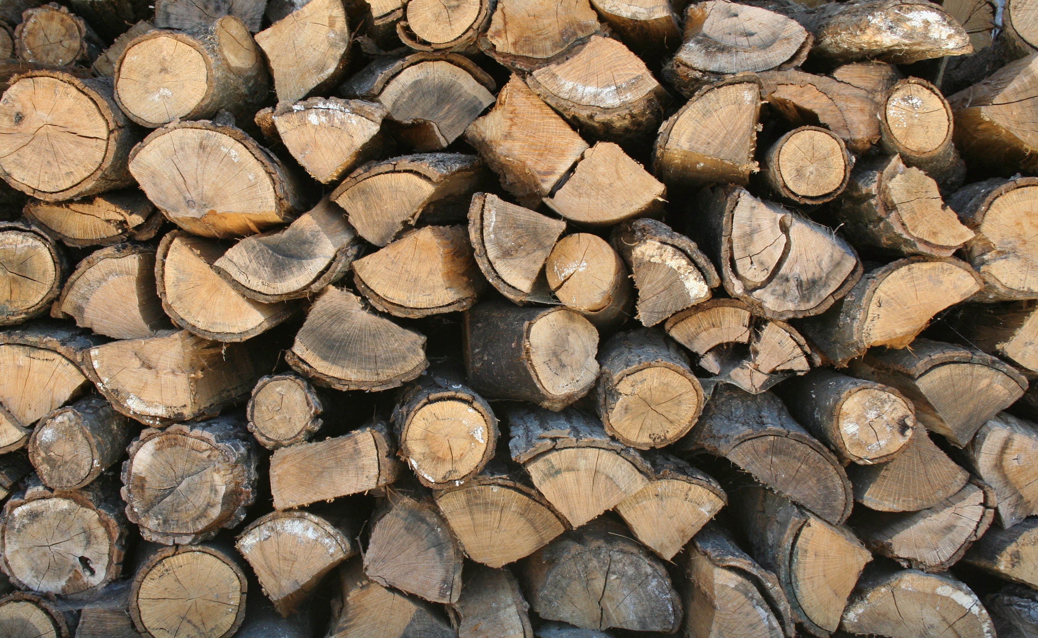 lumber industry, wood, pattern, drying, tree, no people, environmental issues, log, stack, nature, deforestation, logs, 2K, woodpile, fuel, large group of objects, HD Wallpaper