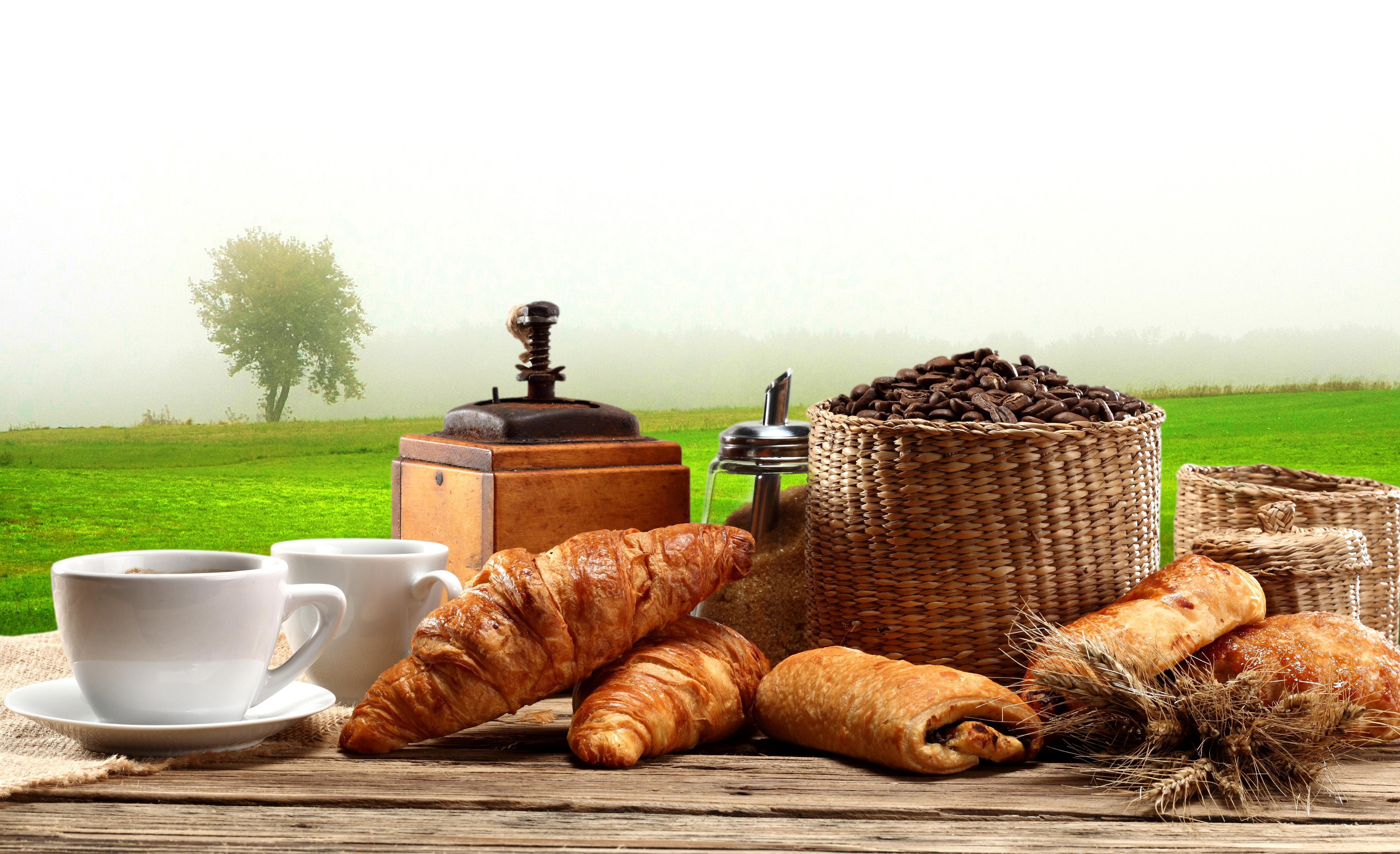 meal, sunrise, fall, 4K, early, nutrition, landscape, rustic, rural, energy, retro, natu, breakfast, table, mist, croissants, coffee, HD Wallpaper