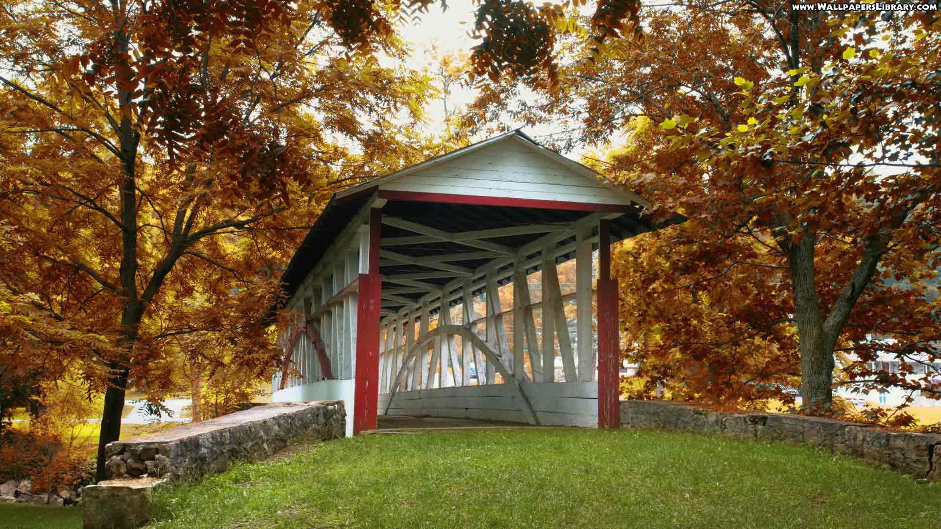 rustic, bridge, timber, 1080P, nature and landscapes, HD Wallpaper