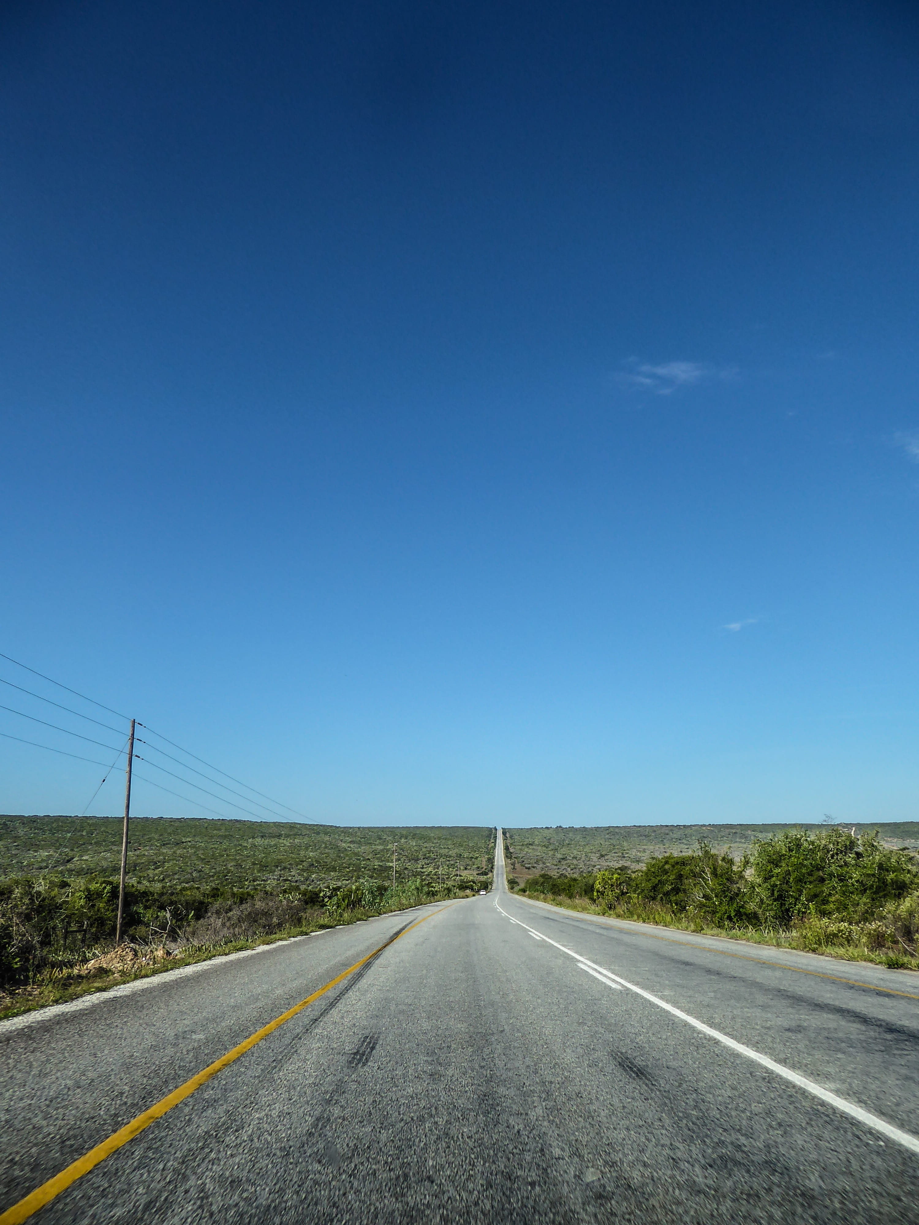 empty road, blank, marking, on the go, sign, road trip, straight, no people, asphalt, south africa, dom, transportation, road, road marking, flat, endless, Phone HD Wallpaper