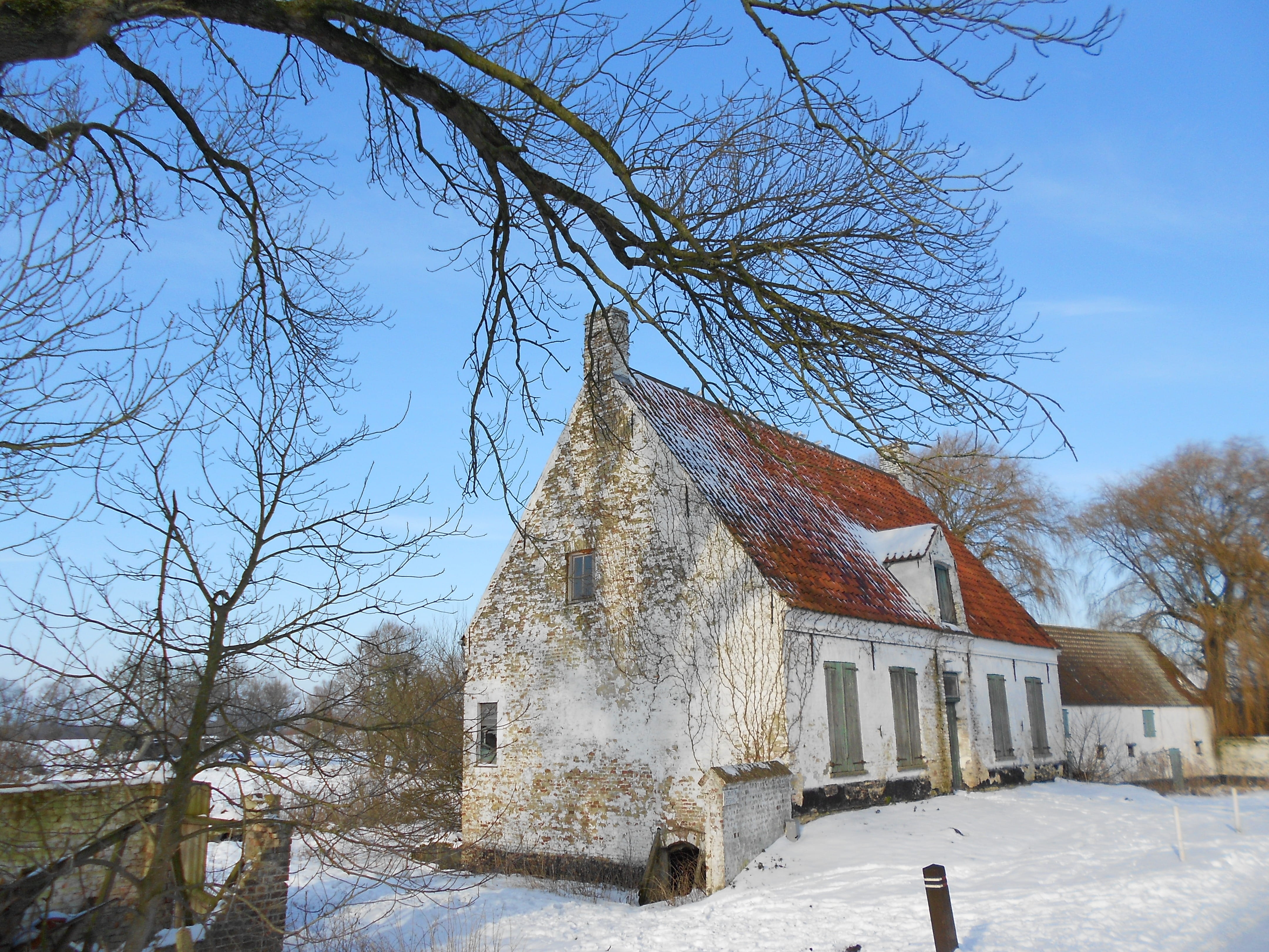 bare tree, snow, built structure, 4K, tree, winter, building, plant, View, building exterior, house, no people, place of worship, architecture, nature, HD Wallpaper