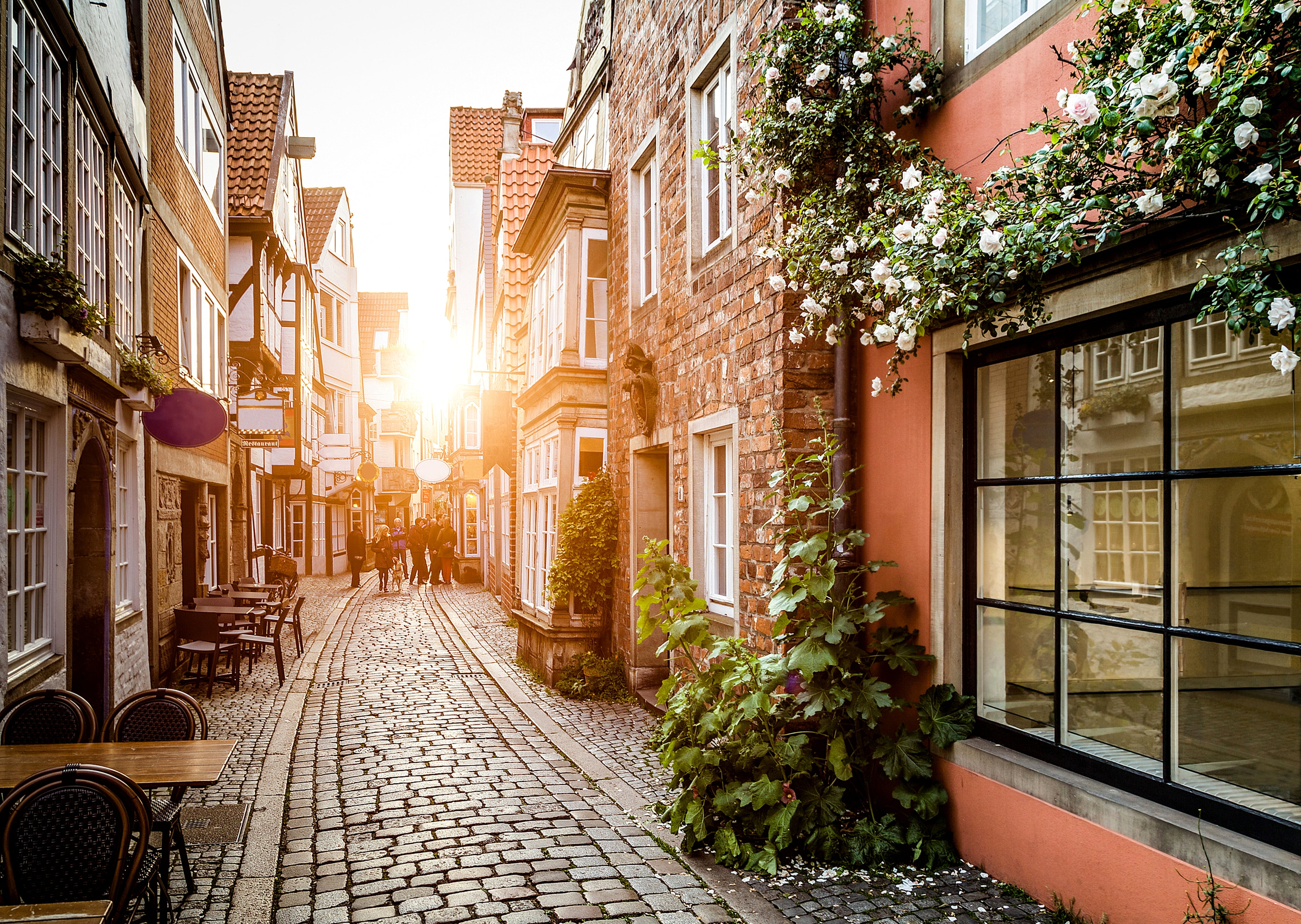 nature, 4K, cultures, old-fashioned, residential District, pavers, town, alley, flowers, transportation, green, famous Place, architecture, city, travel Destinations, HD Wallpaper