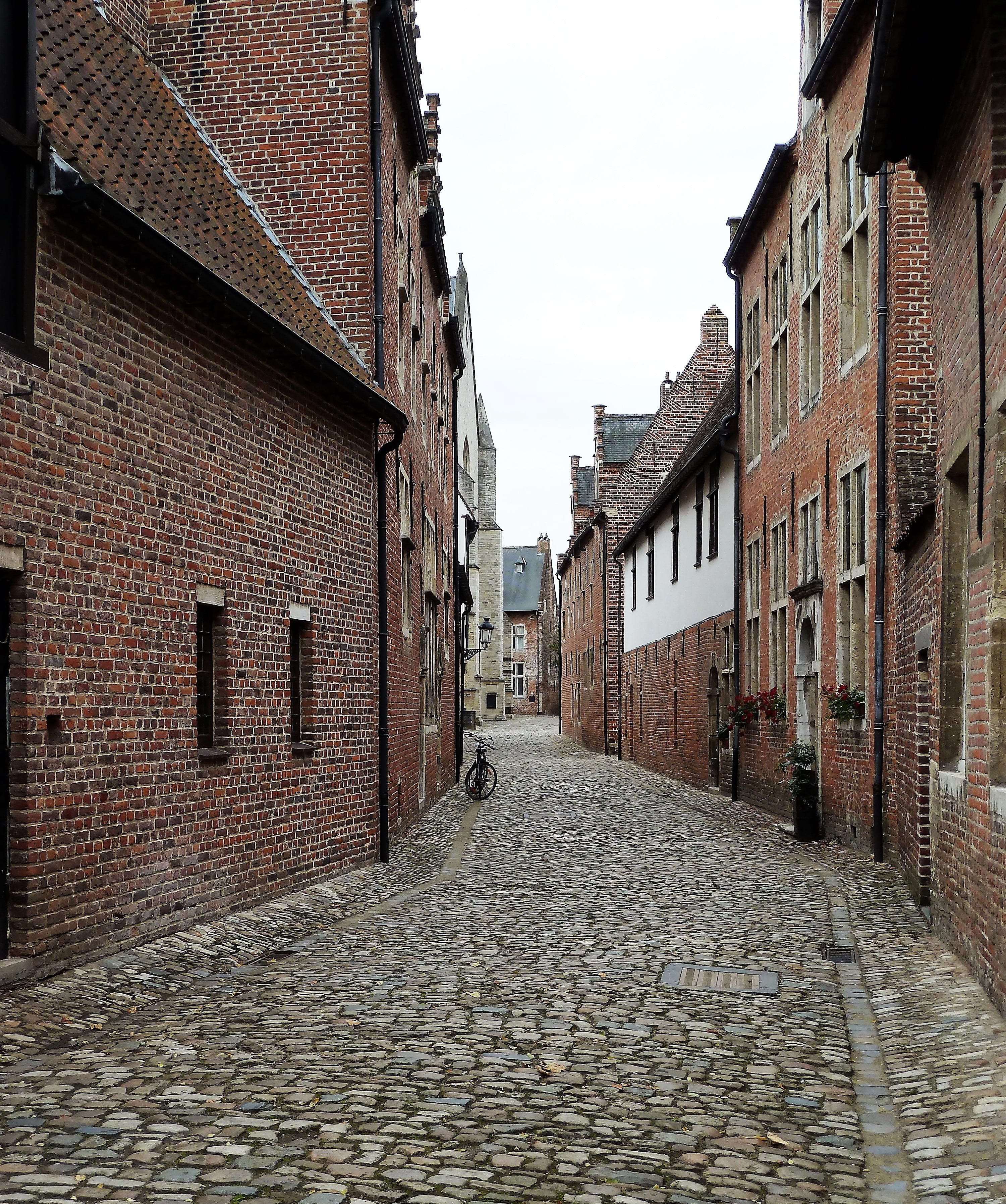 the cobbled streets, city, narrow, alley, leave, town, direction, belgium, cobblestone, built structure, nature, paving stone, street, street scene, brick, Phone HD Wallpaper