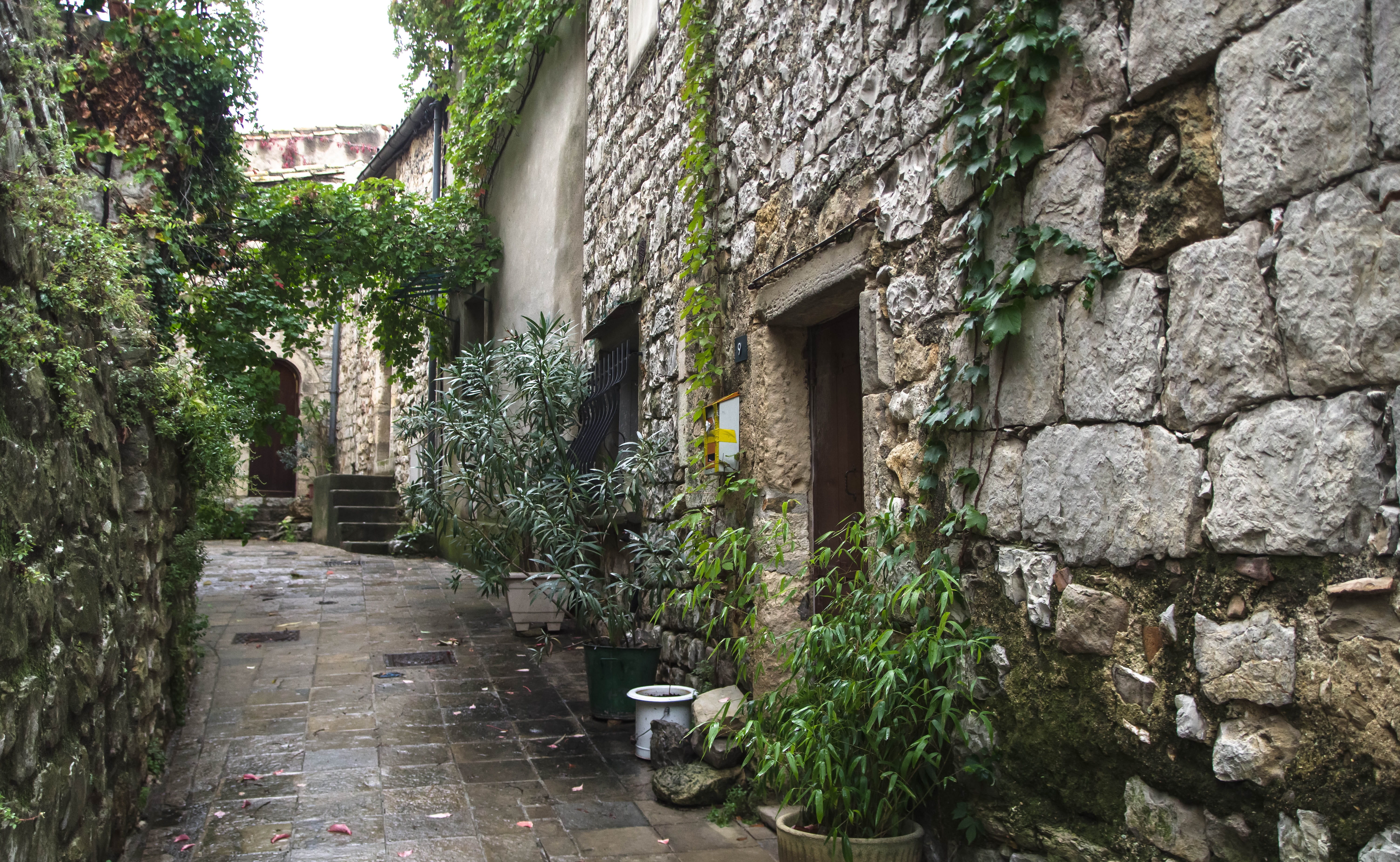 empty, tree, growth, narrow, direction, village, architecture, 5K, plant, lane, stone wall, pavers, footpath, wall, nature, built structure, the way forward, HD Wallpaper