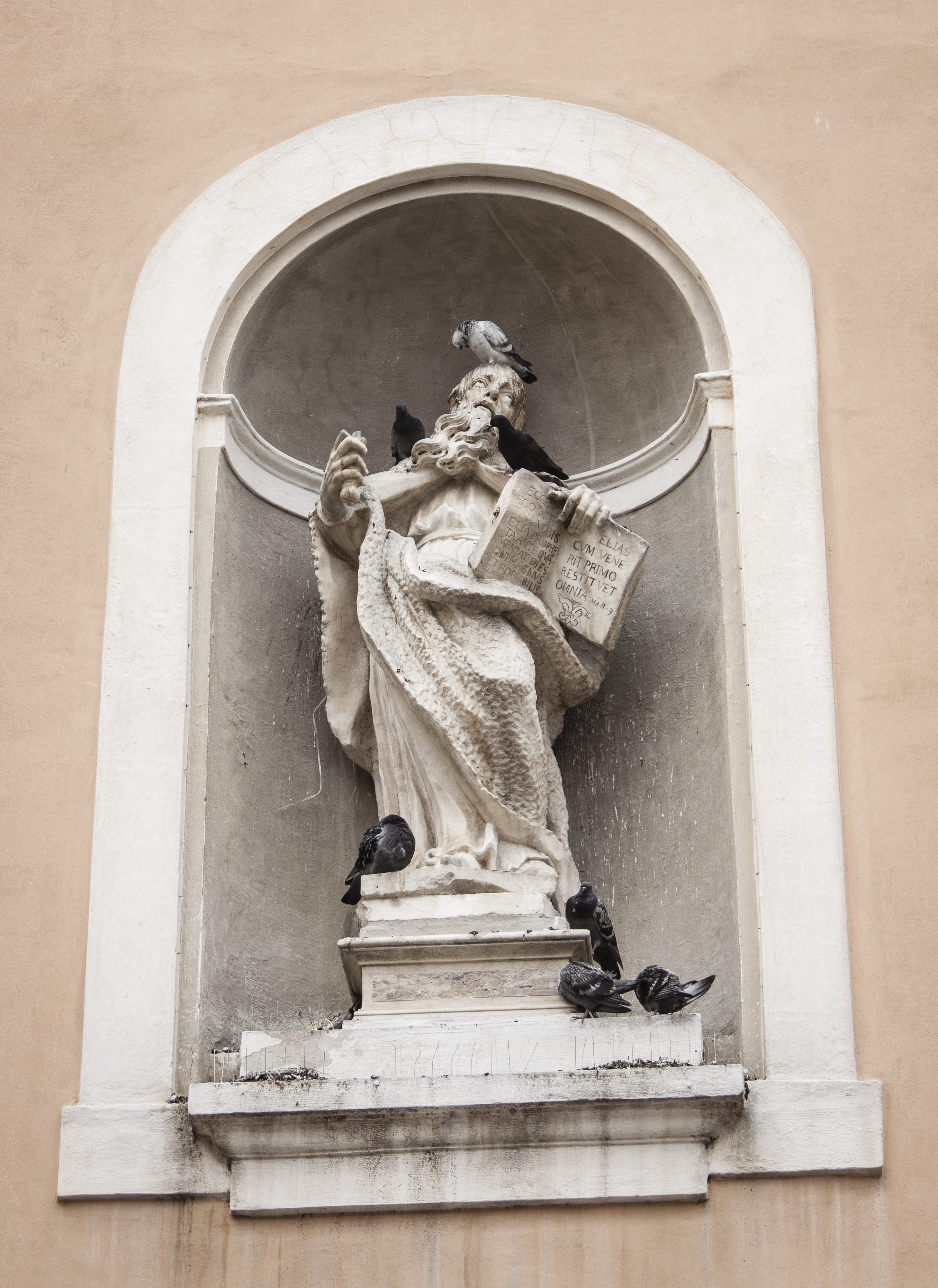 4K, city, curch, european, spirituality, tuscany, architecture, the past, niche, history, tourism, historic, no people, religion, sculpture, pisa, old, Phone HD Wallpaper