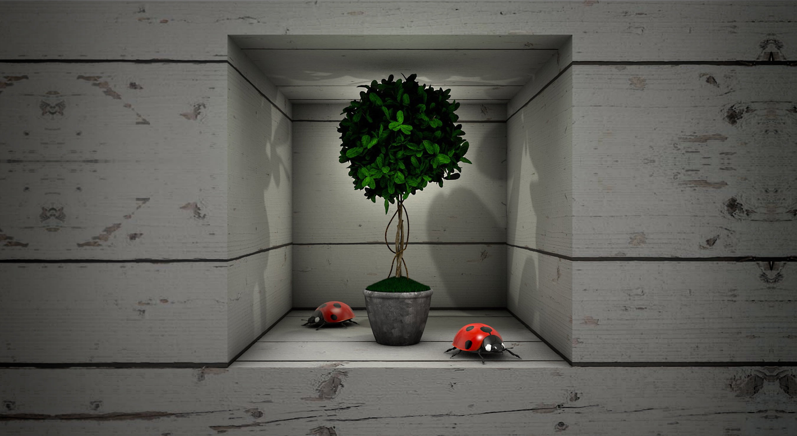 nature, boards, niche, plant part, hanging, wood - material, social issues, flower pot, wood, 3d, small, indoors, leafed, visualization, plant, box, architecture, HD Wallpaper