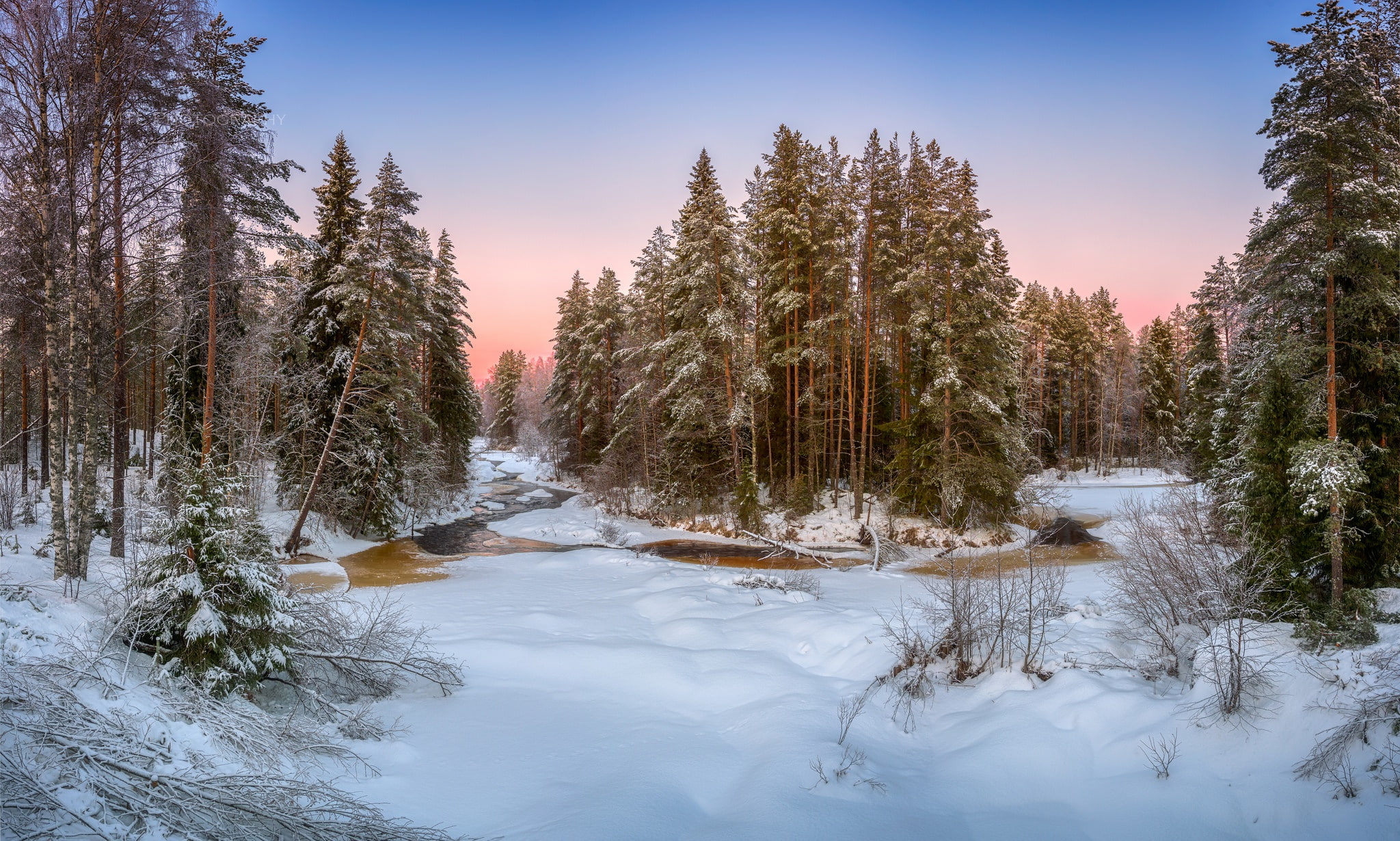 growth, non-urban scene, nature, scenics - nature, beauty in nature, sunset, land, tree, snow, forest, winter, outdoors, covering, landscape, tranquility, HD Wallpaper