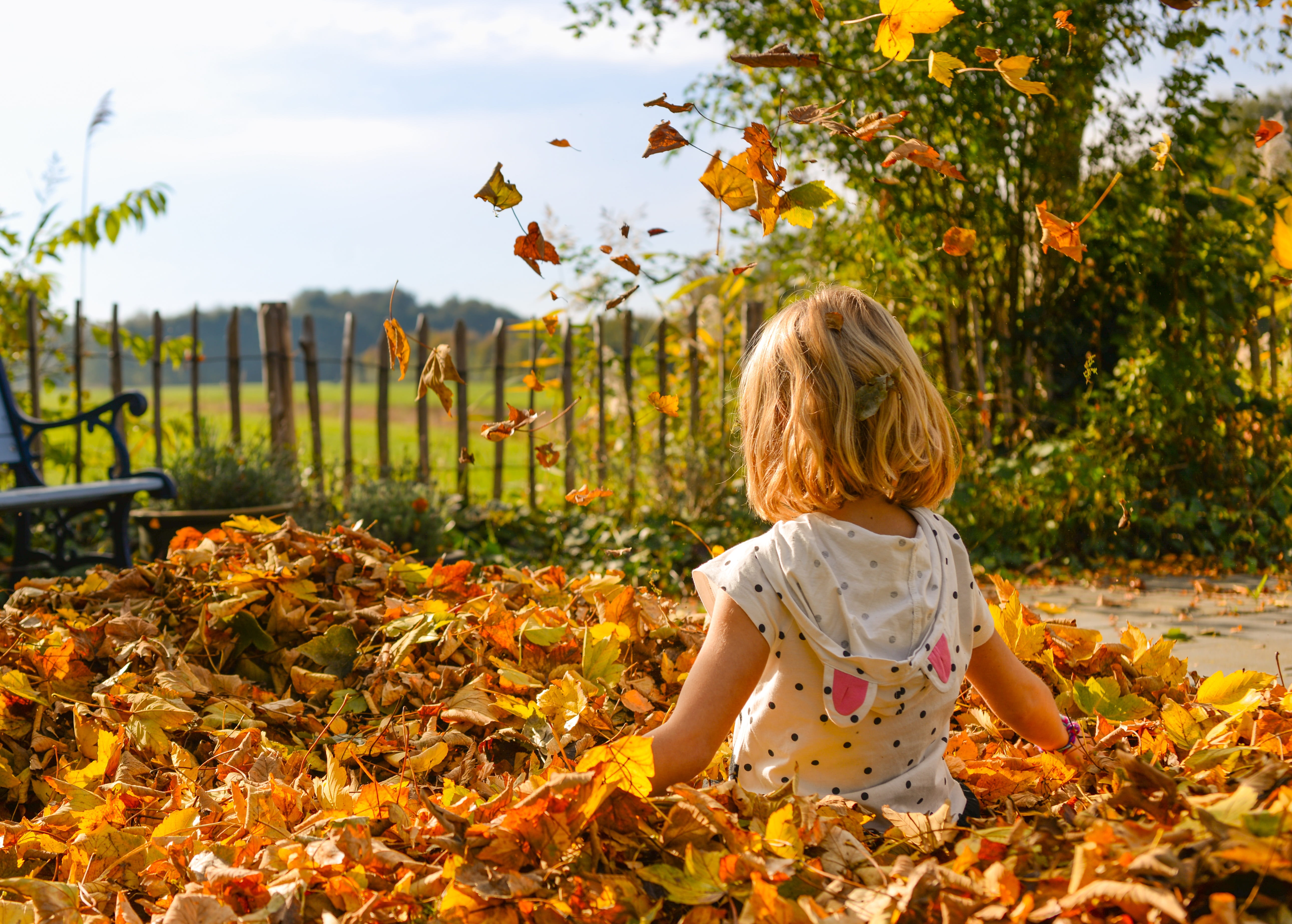 day, real people, blond hair, innocence, plant, women, happiness, leaf, playing, one person, autumn, kid, summer, hairstyle, females, girls, children, happy, HD Wallpaper