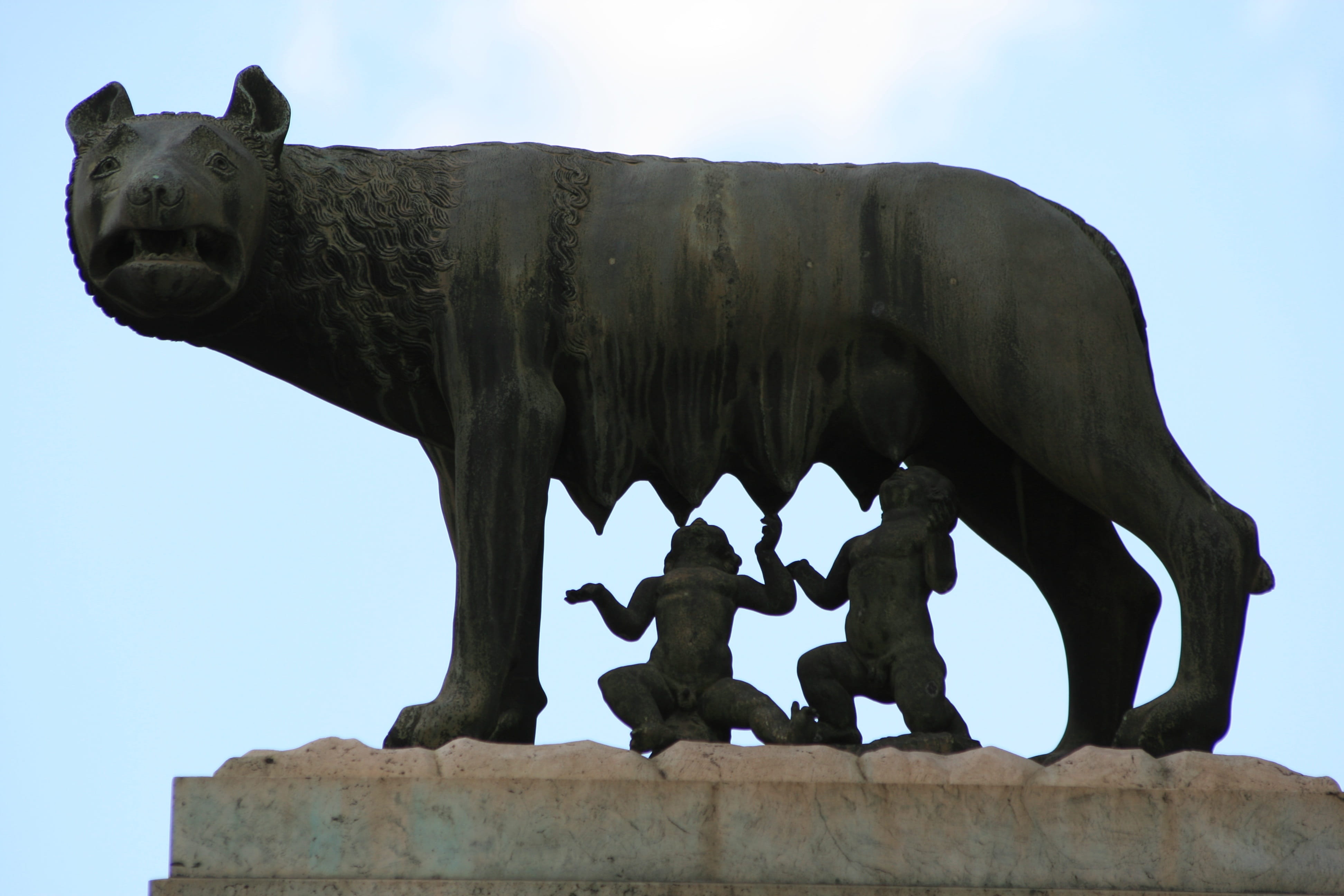 4K, rome, antiquity, built structure, day, architecture, statue, famous, craft, art and craft, nature, clear sky, creativity, capitoline she-wolf, tourism, HD Wallpaper