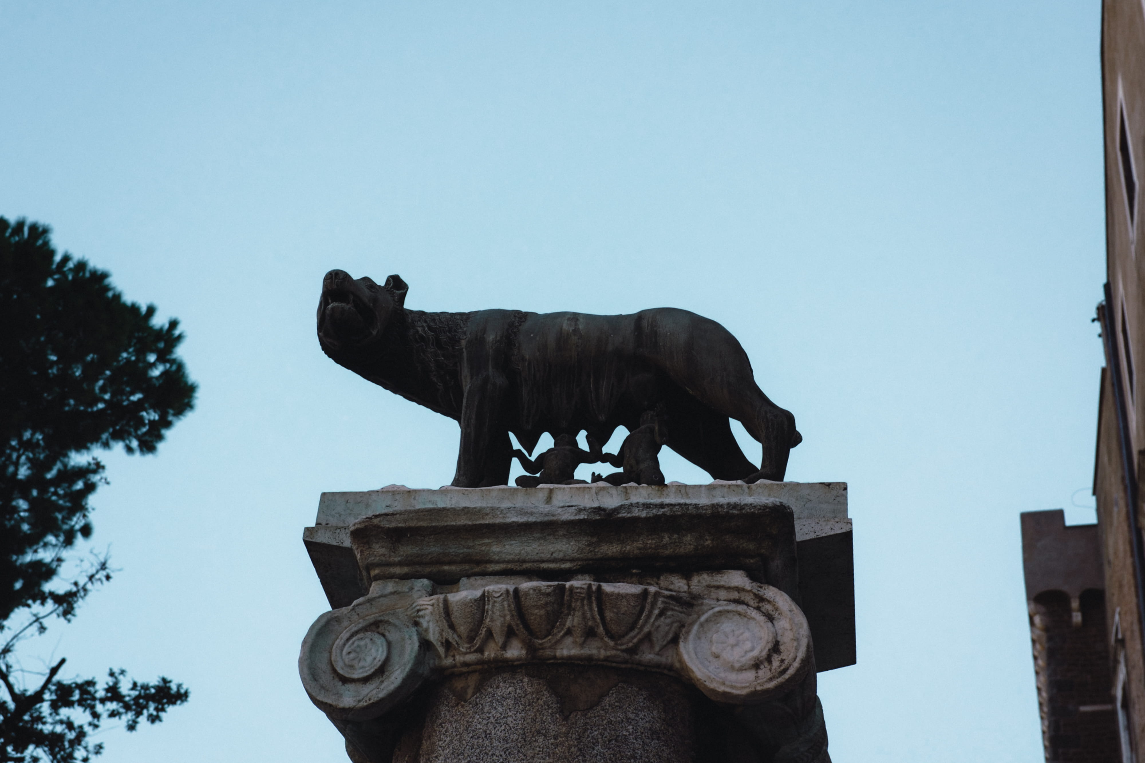 sky, day, nature, arts and Entertainment, animal representation, animal wildlife, wolf, europe, city, travel Locations, travel destinations, capitoline, HD Wallpaper