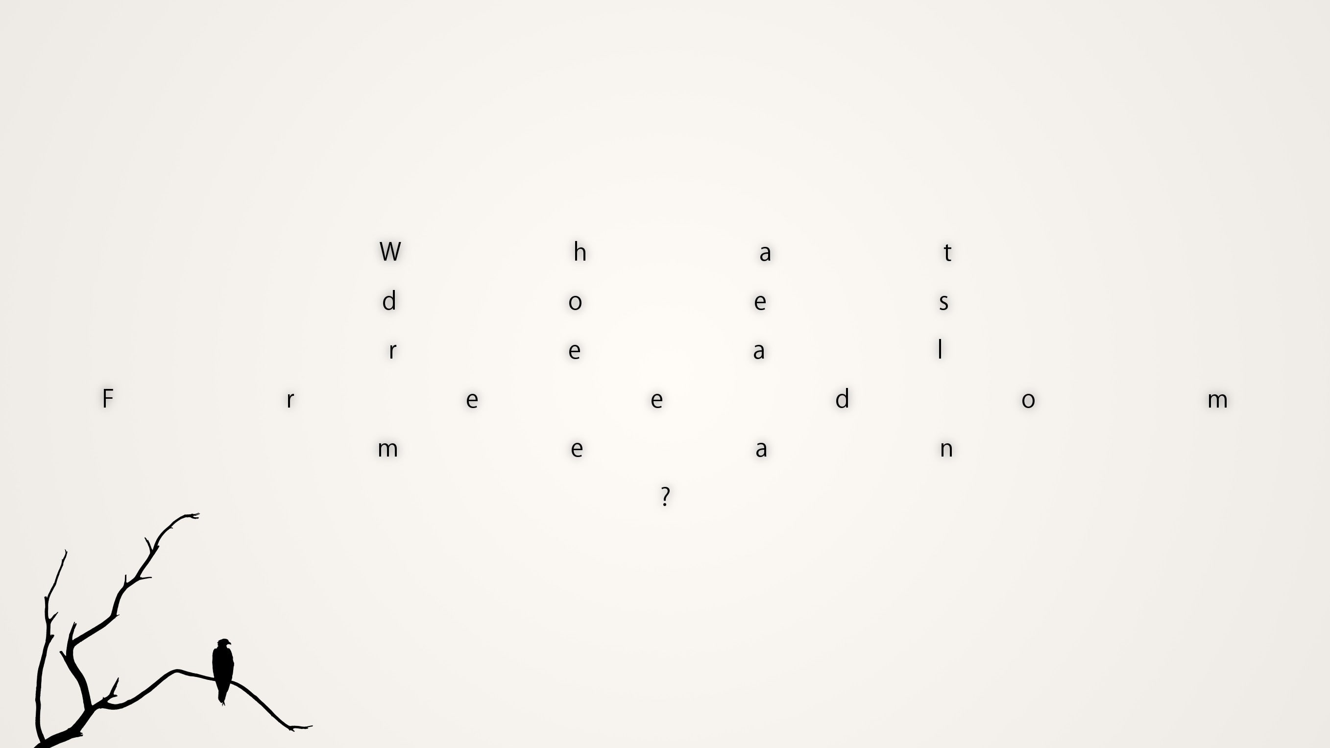 flying, sky, copy space, nature, large group of animals, clear sky, writing, real people, simple background, unrecognizable person, vertebrate, silhouette, HD Wallpaper