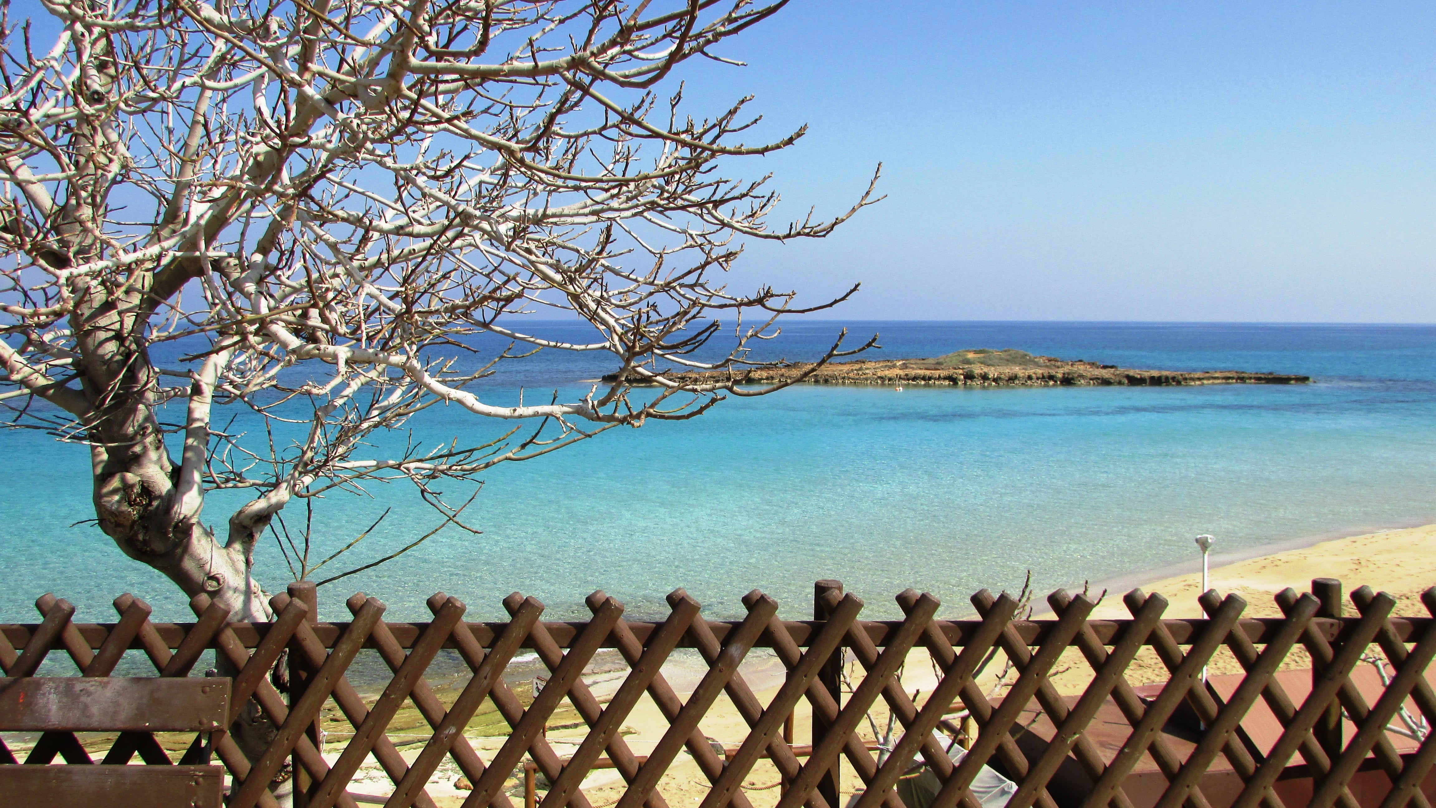 beach, large group of objects, outdoors, scenics - nature, no people, horizon over water, cyprus, blue, branch, beauty in nature, sky, resort, nature, fig tree bay, HD Wallpaper