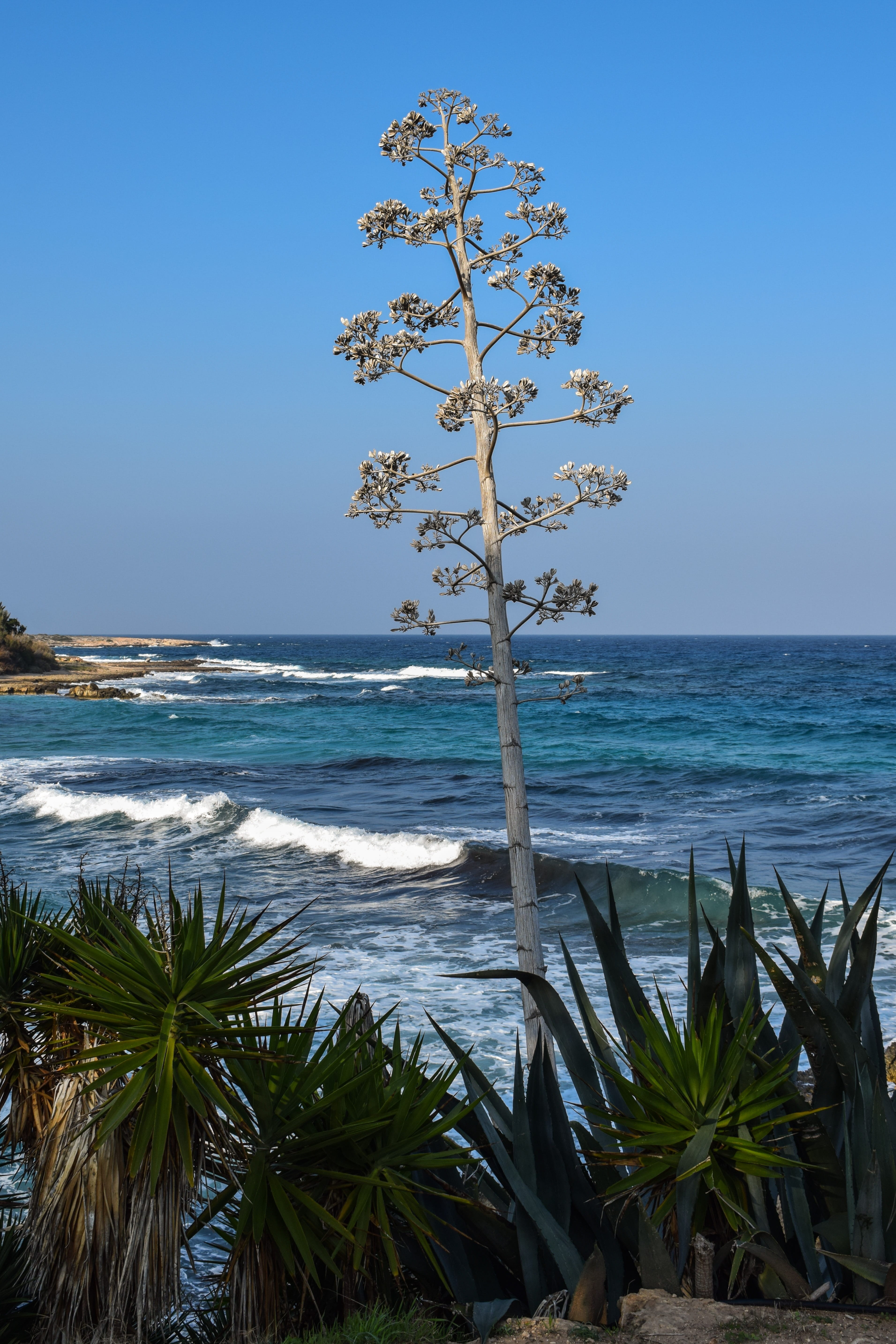 water, clear sky, nature, 5K, day, cyprus, sea, outdoors, protaras, sky, beauty in nature, Waves, scenics - nature, horizon over water, Sea, tropical climate, Phone HD Wallpaper