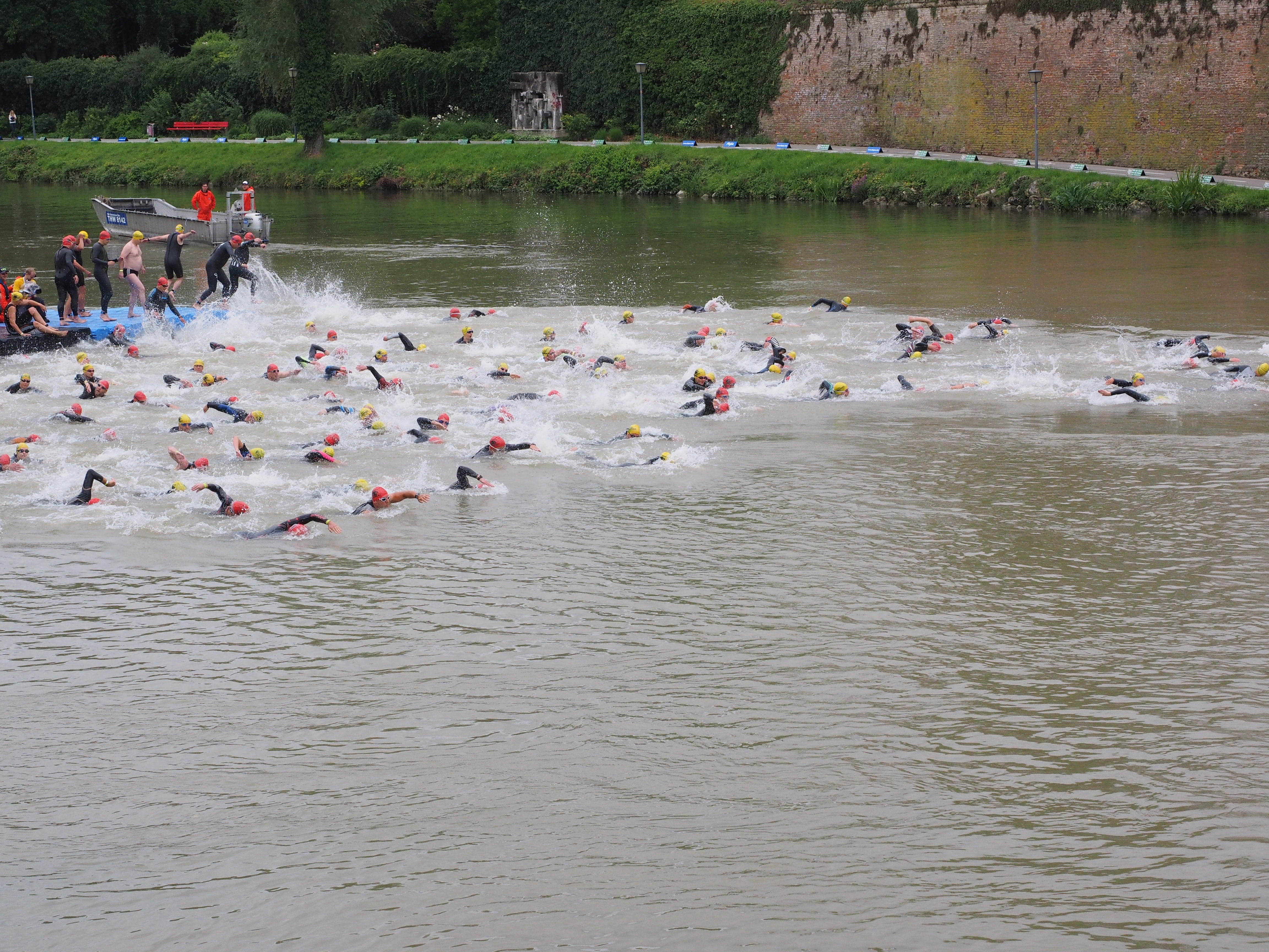 river, involved, competition, crowd, animal themes, day, lake, human, large group of people, animal wildlife, group of people, people, real people, wetsuits, HD Wallpaper