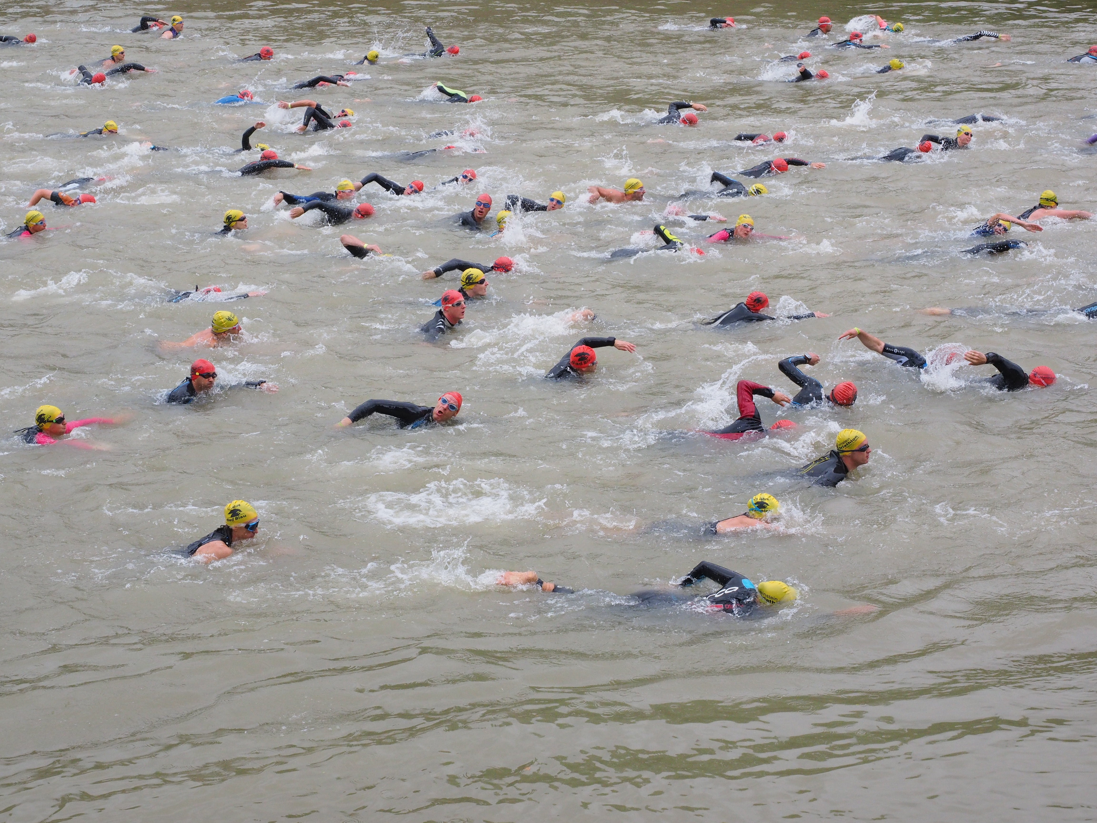 wetsuits, river, track and field athletes, effort, danube, real people, men, large group of people, people, swim stroke, skill, competitive sport, competition, HD Wallpaper