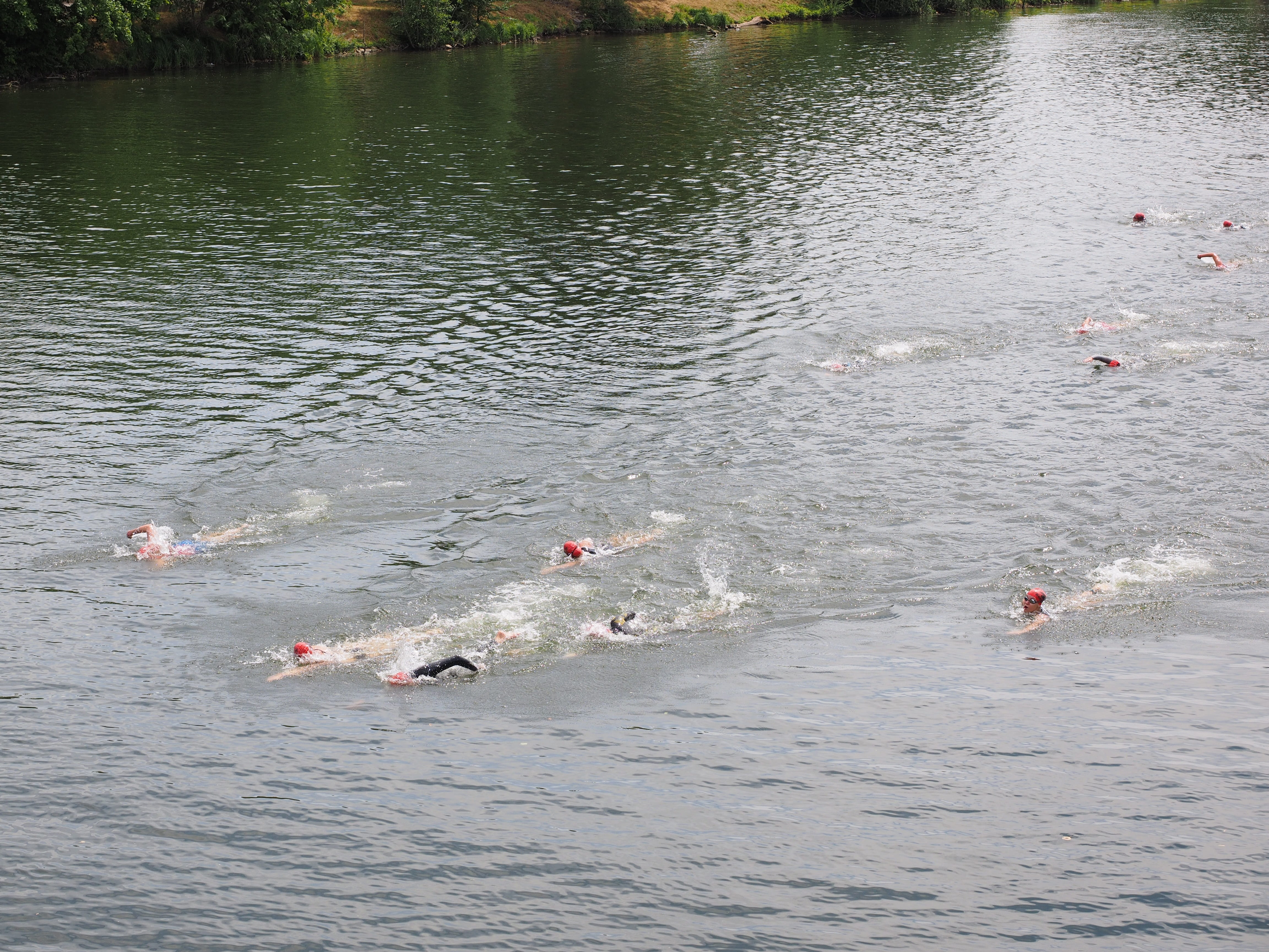 Swim, large group of people, water, swimmer, group of people, outdoors, athletes, Triathlon, swimming sports, high angle view, group of animals, lake, men, HD Wallpaper
