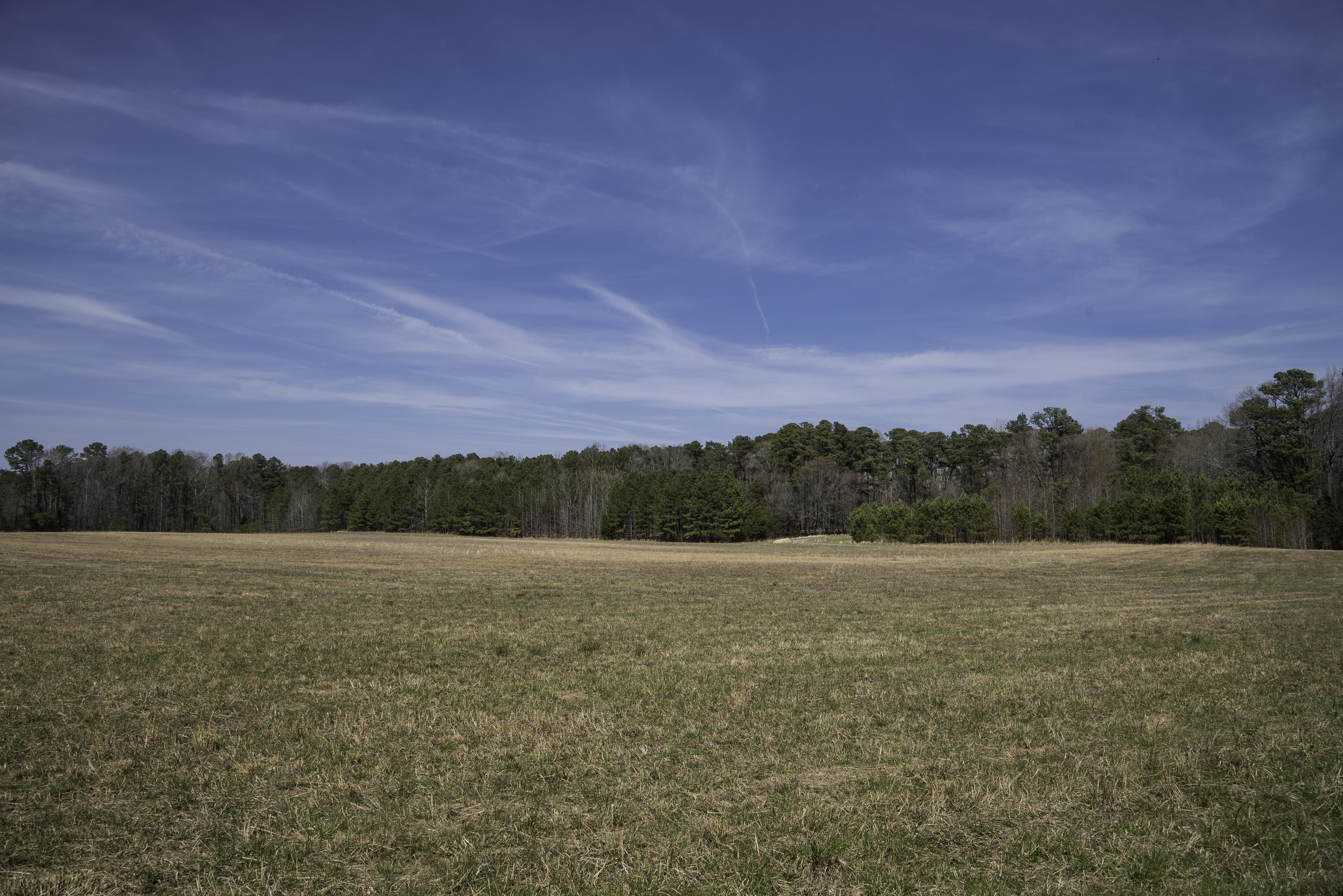 grass, scenics, growth, beauty in nature, rural Scene, land, outdoors, trees, no People, photos, tranquility, Yorktown, green Color, cloud - Sky, blue, HD Wallpaper
