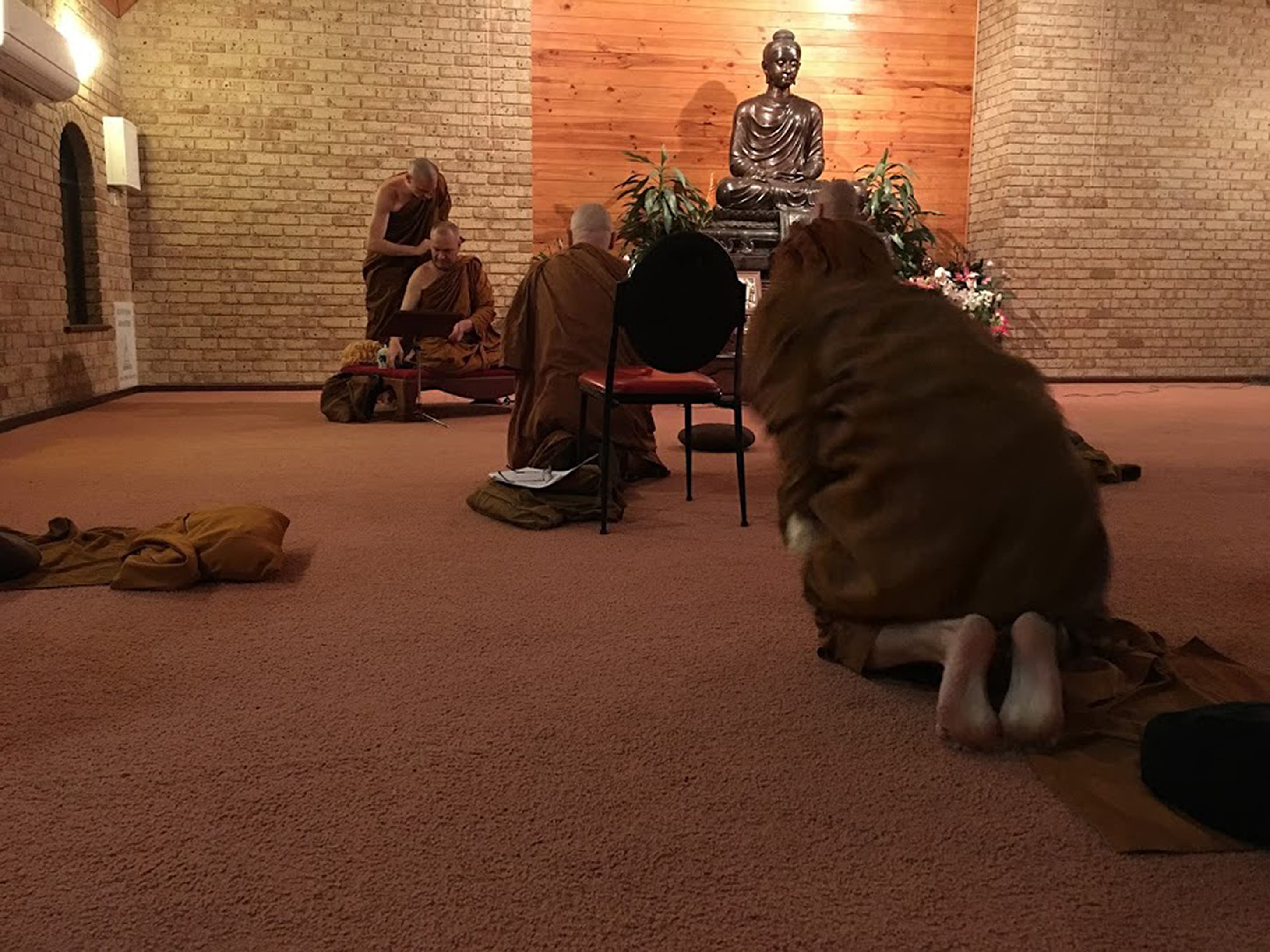 lifestyles, meditation hall, ajahn brahmali, sangha, flooring, relaxation, monastery, ajahn brahm, furniture, sitting, monk, bodhinyana, real people, bodhinyana buddhist monastery, HD Wallpaper