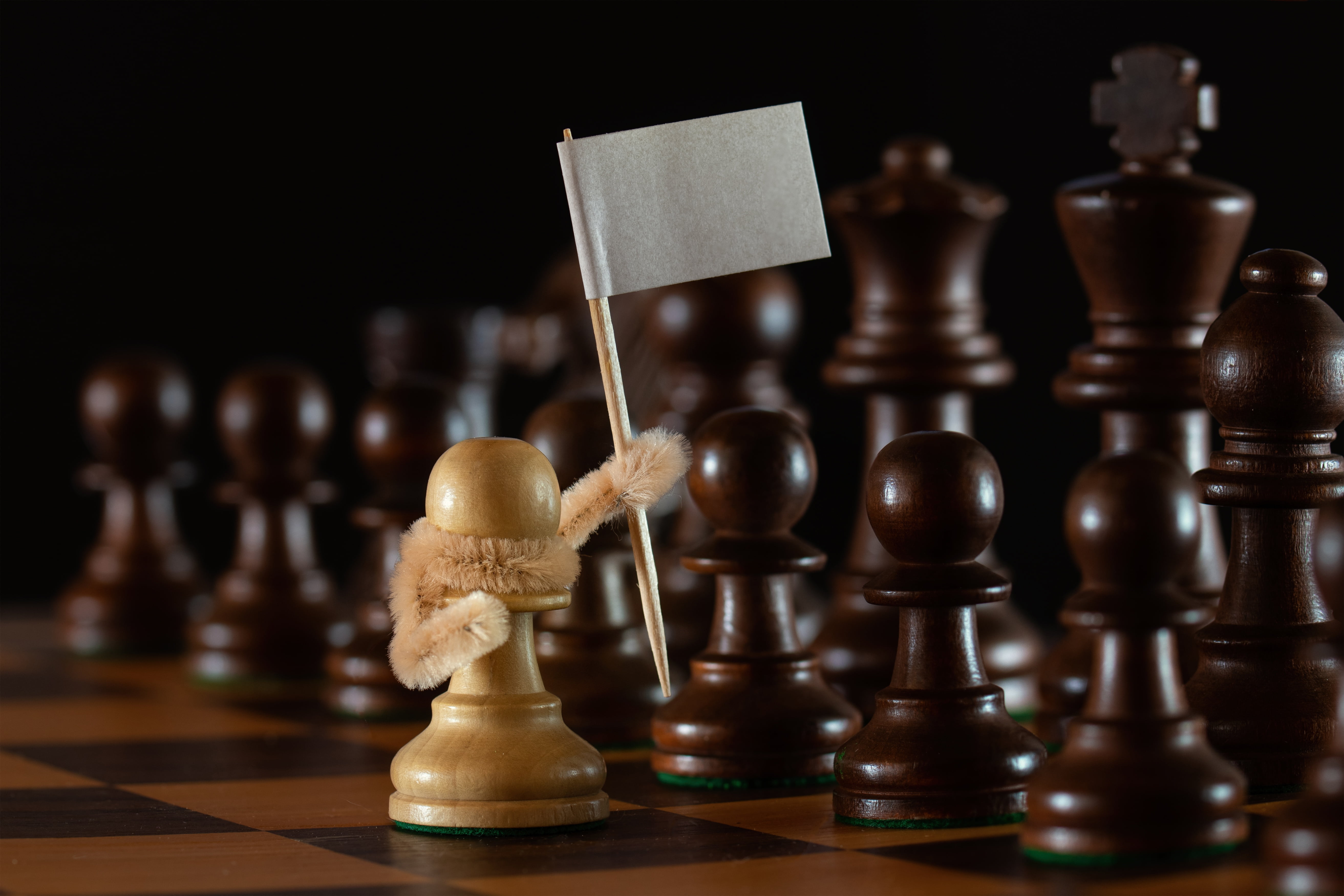 Stems!, the white pawn, 5K, chess, pawns, white flag, surrender, HD Wallpaper