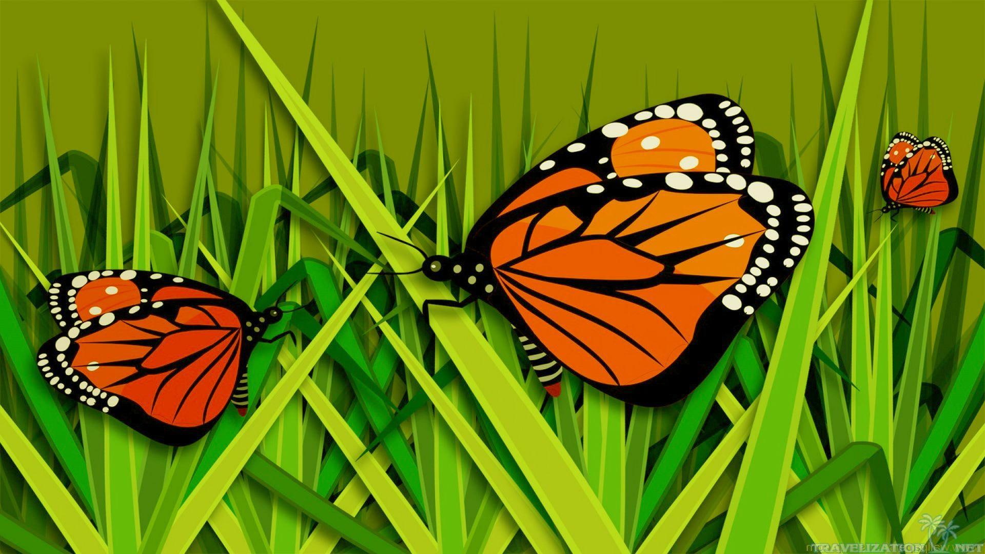 butterfly, 1080P, abstract, monarch, animal, grass, animals, HD Wallpaper