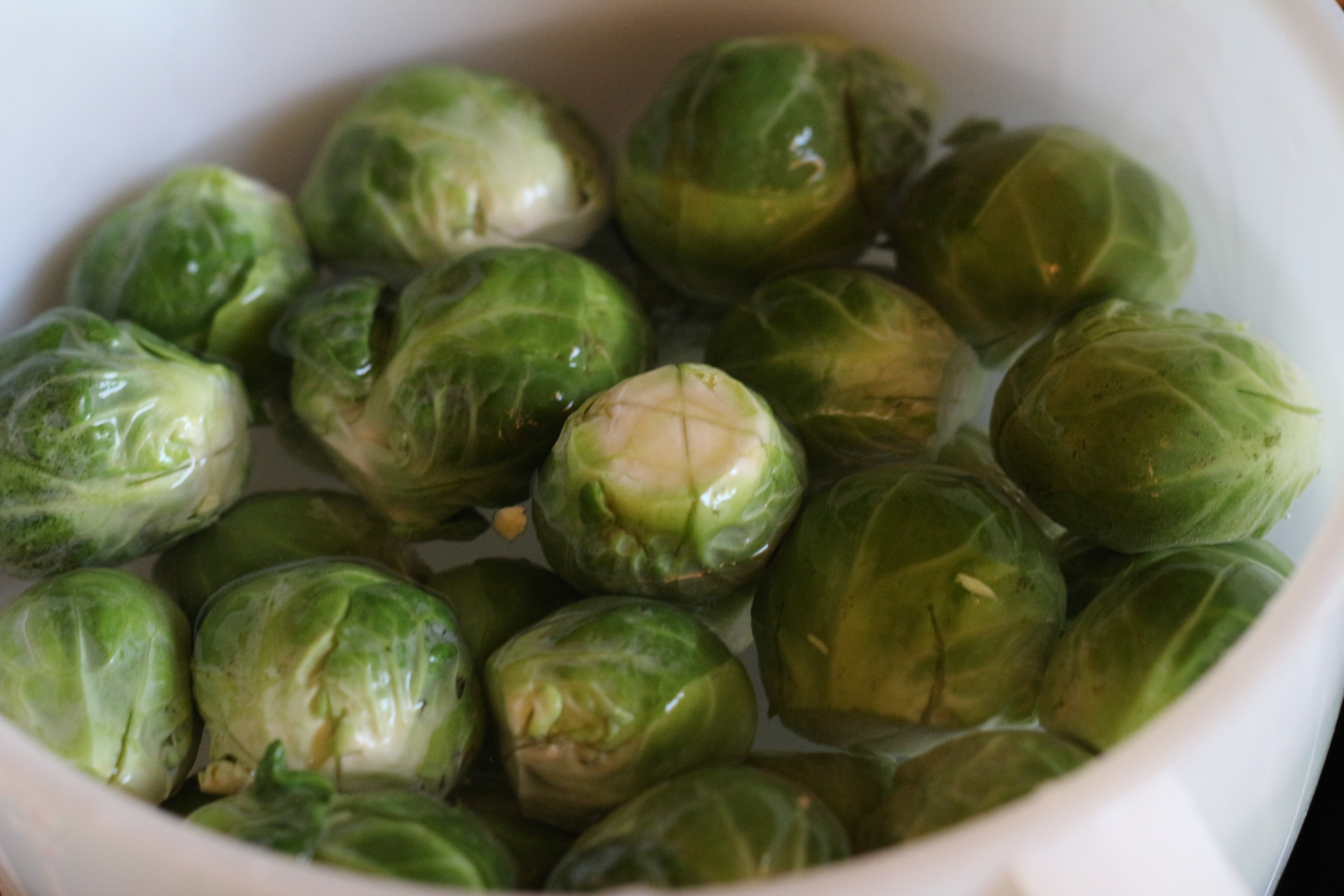 green color, no people, food, organic, green, bowl, healthy eating, natural, fresh, chinese food, produce, cabbage, selective focus, vegetarian, organic vegtable, HD Wallpaper