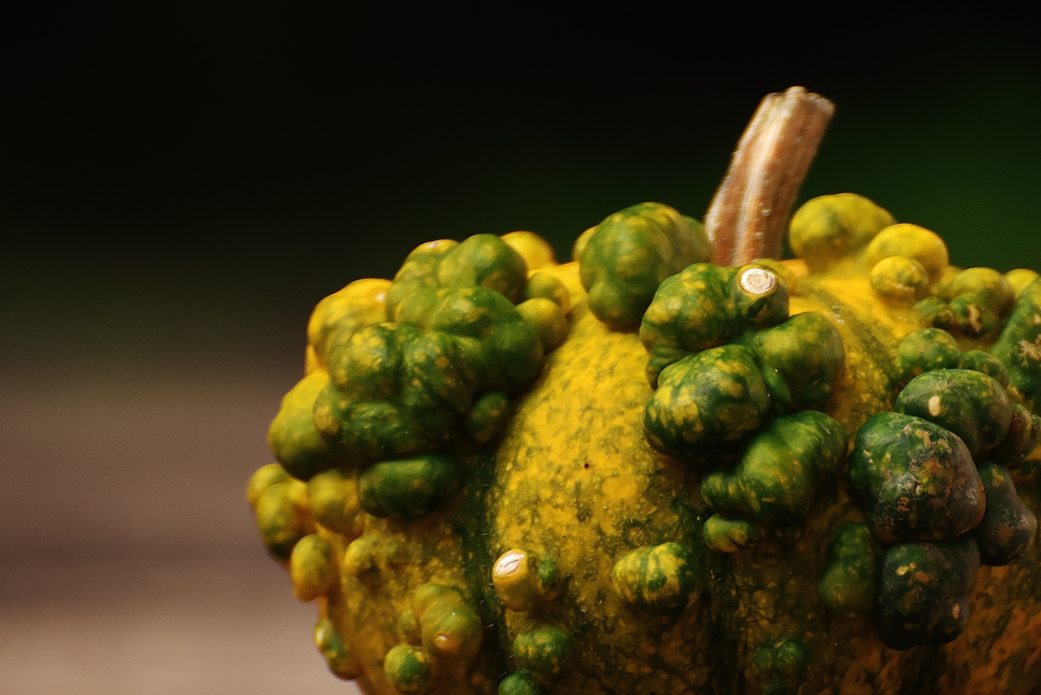 fruit, autumn, ripe, single object, 4K, colorful, harvest, colored background, wood - material, decoration, food, close-up, healthy eating, nature, yellow, HD Wallpaper