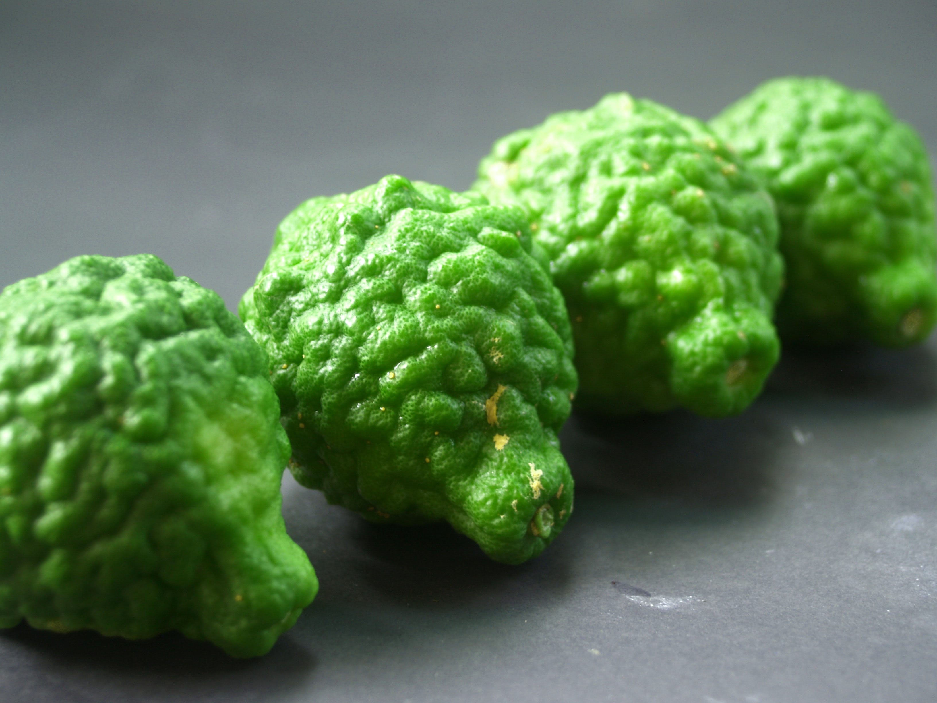 single object, freshness, cooking, lemon, ancient, raw, 2K, asia, natural, kaffir, fresh, gray background, wellbeing, colored background, black background, HD Wallpaper