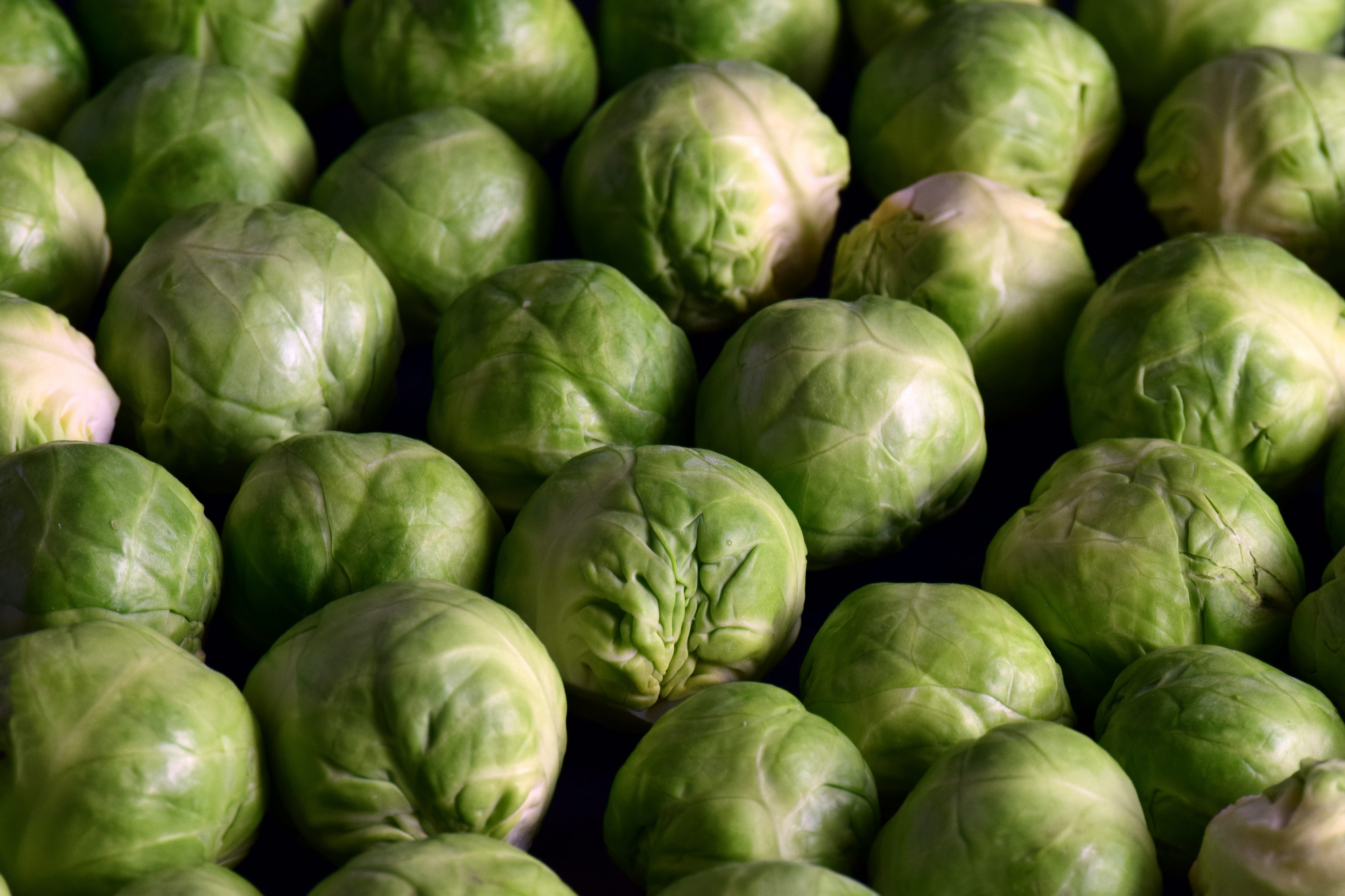 healthy, background, ripe, 5K, fresh, backgrounds, food and drink, green, beautiful, round, raw, brussels sprouts, vitamins, market, graze, cabbage, minerals, HD Wallpaper