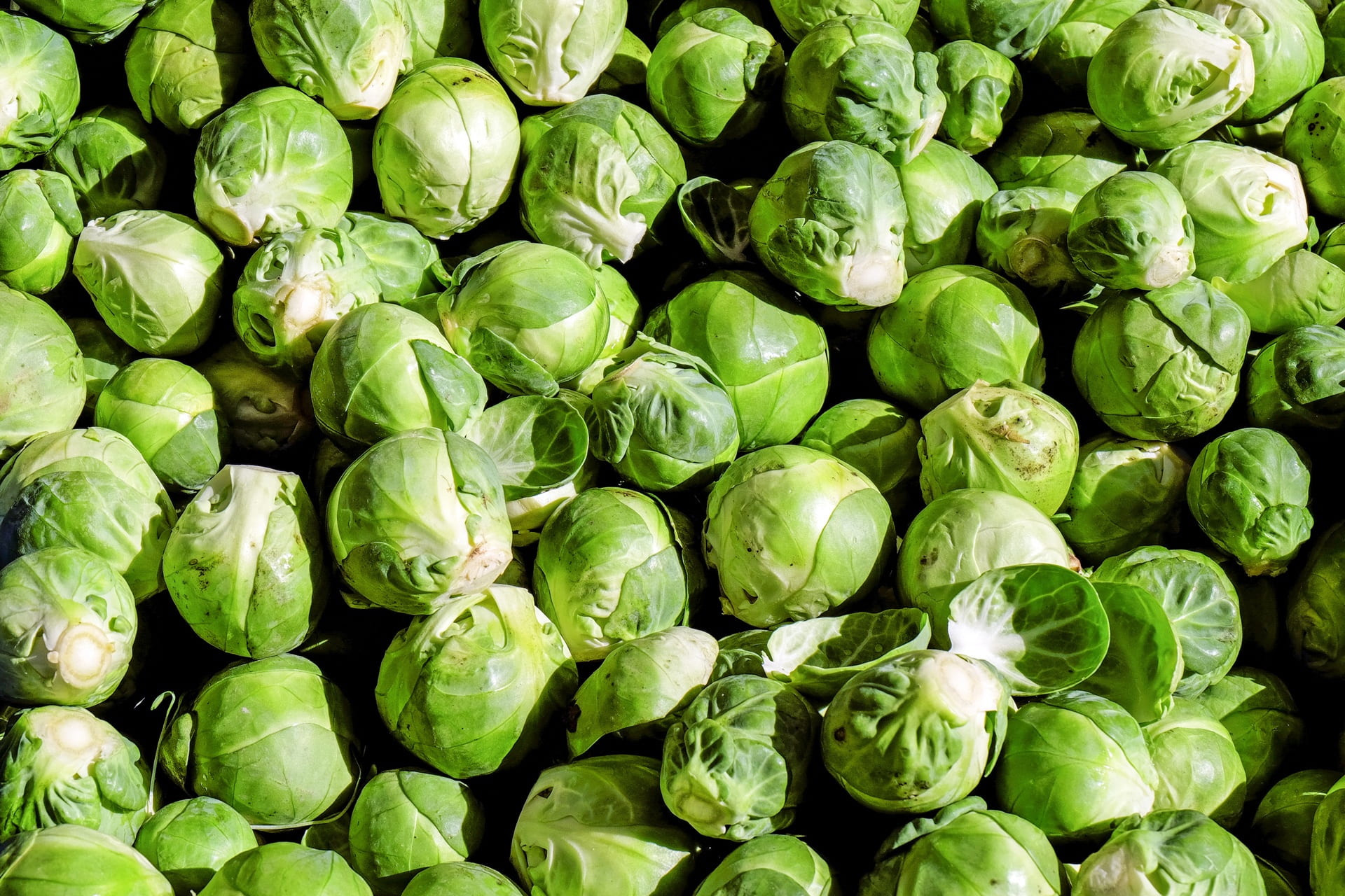 food and drink, green color, 1080P, kohl, ripe, freshness, close-up, healthy eating, market, vegetable, letus, rosenkoehlchen, full frame, no people, food, HD Wallpaper